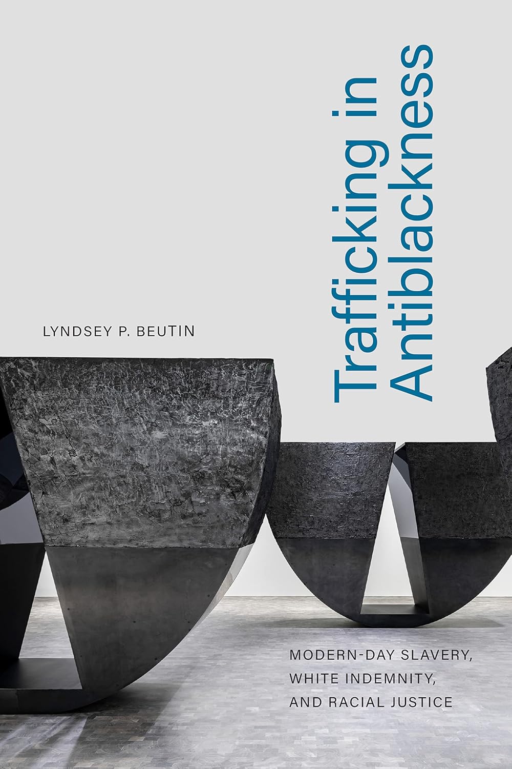 Trafficking in Antiblackness: Modern-Day Slavery, White Indemnity, and Racial Justice      Kindle Edition