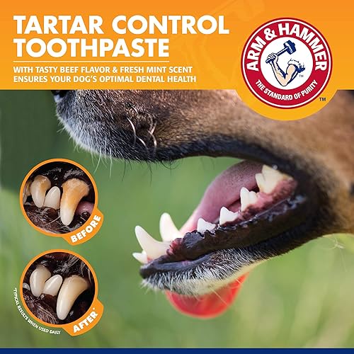 Miniatura 6 de Pasta dental para perros sabor carne de res Arm  Hammer Advanced Care Enzymatic