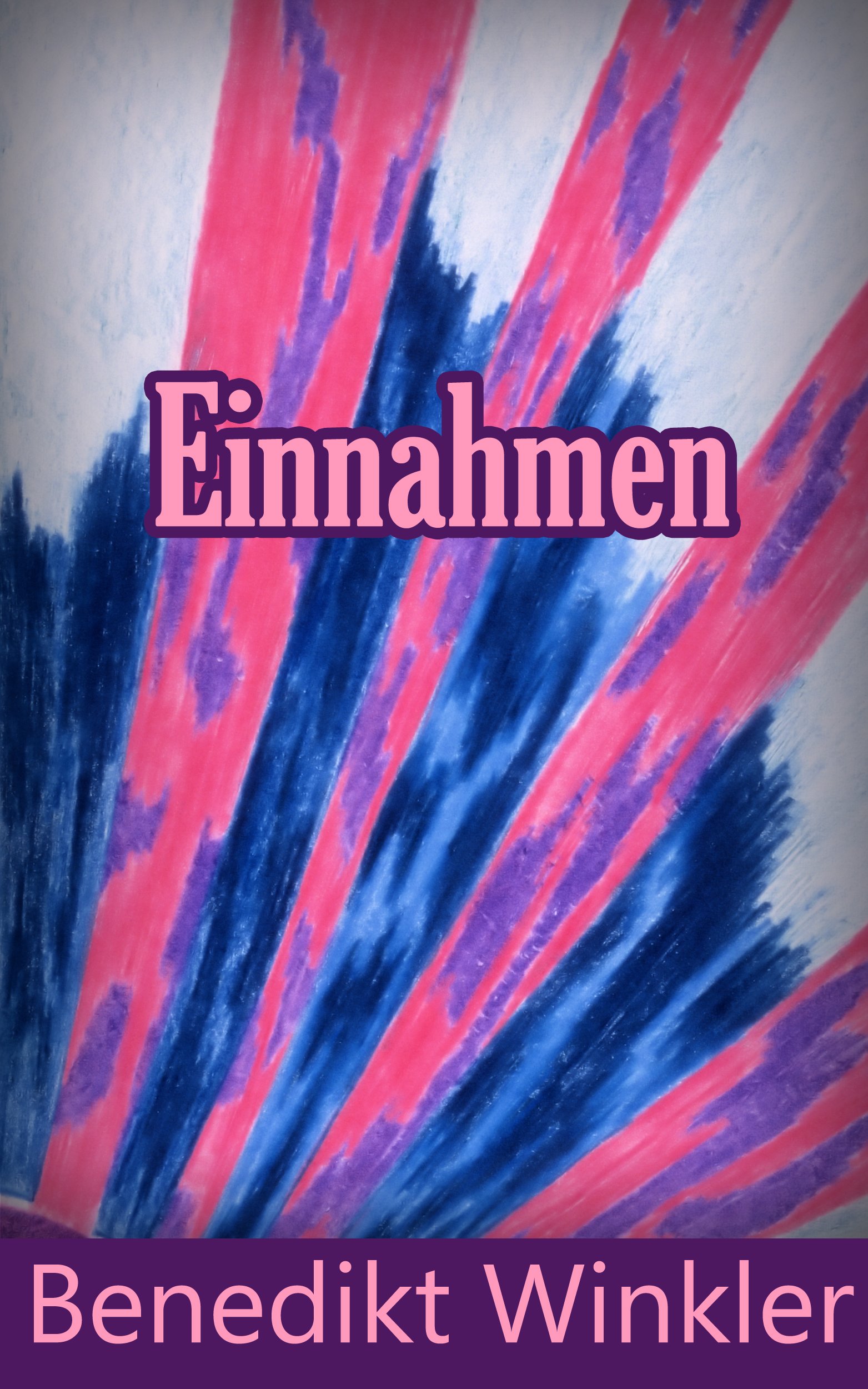 Einnahmen (German Edition)