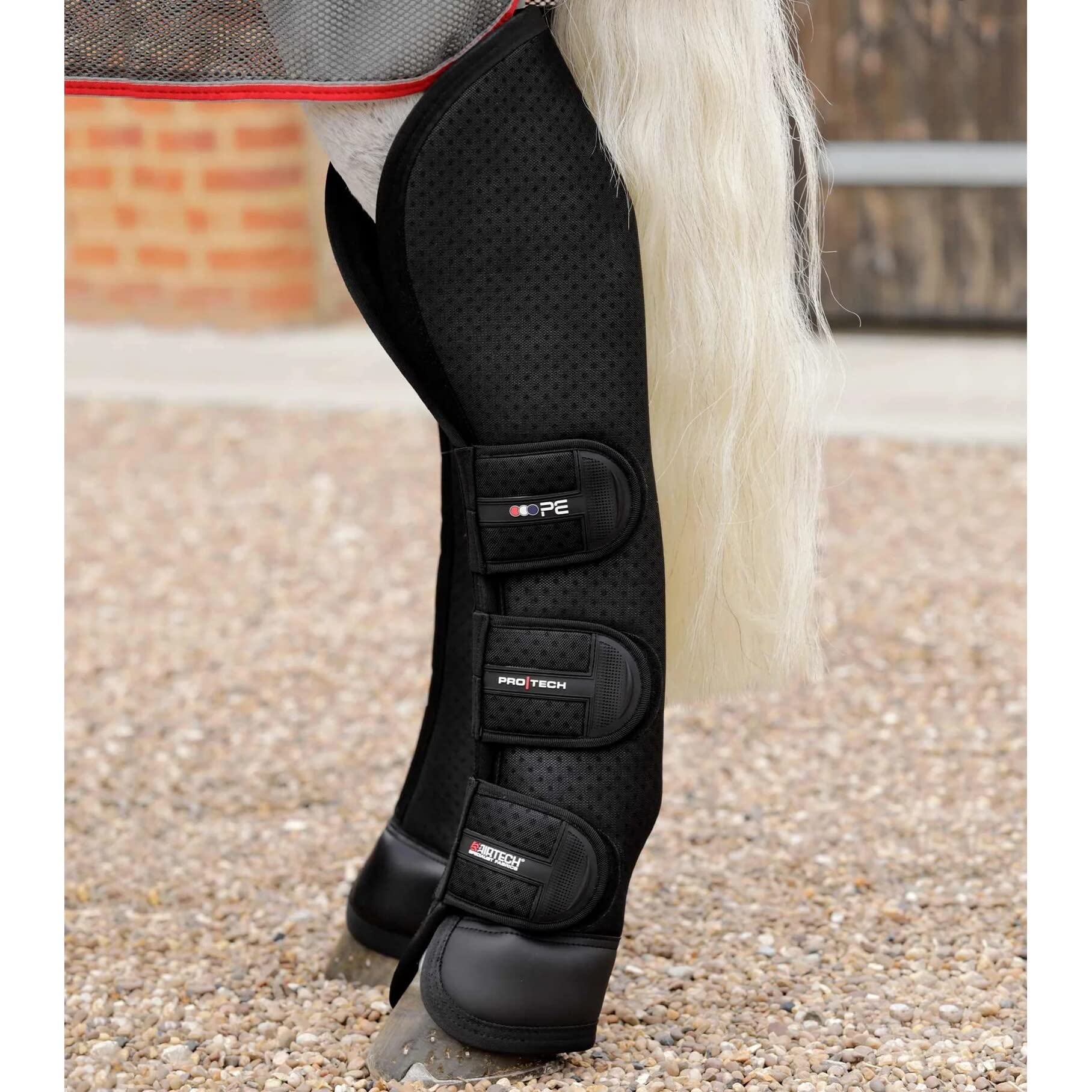 Premier Equine Botas de Transporte para Caballos Airtechnology