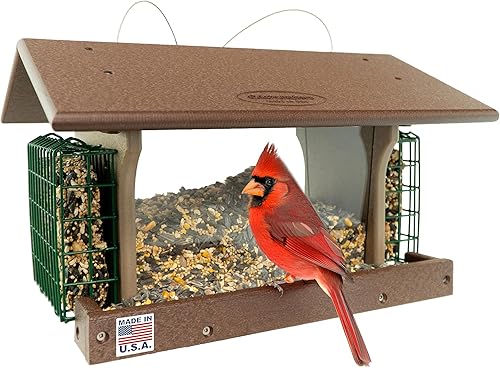 Miniatura 10 de Comedero grande de plástico para pájaros con dos jaulas de sebo comedero para pájaros al aire libre para comida de pájaros, semillas de aves