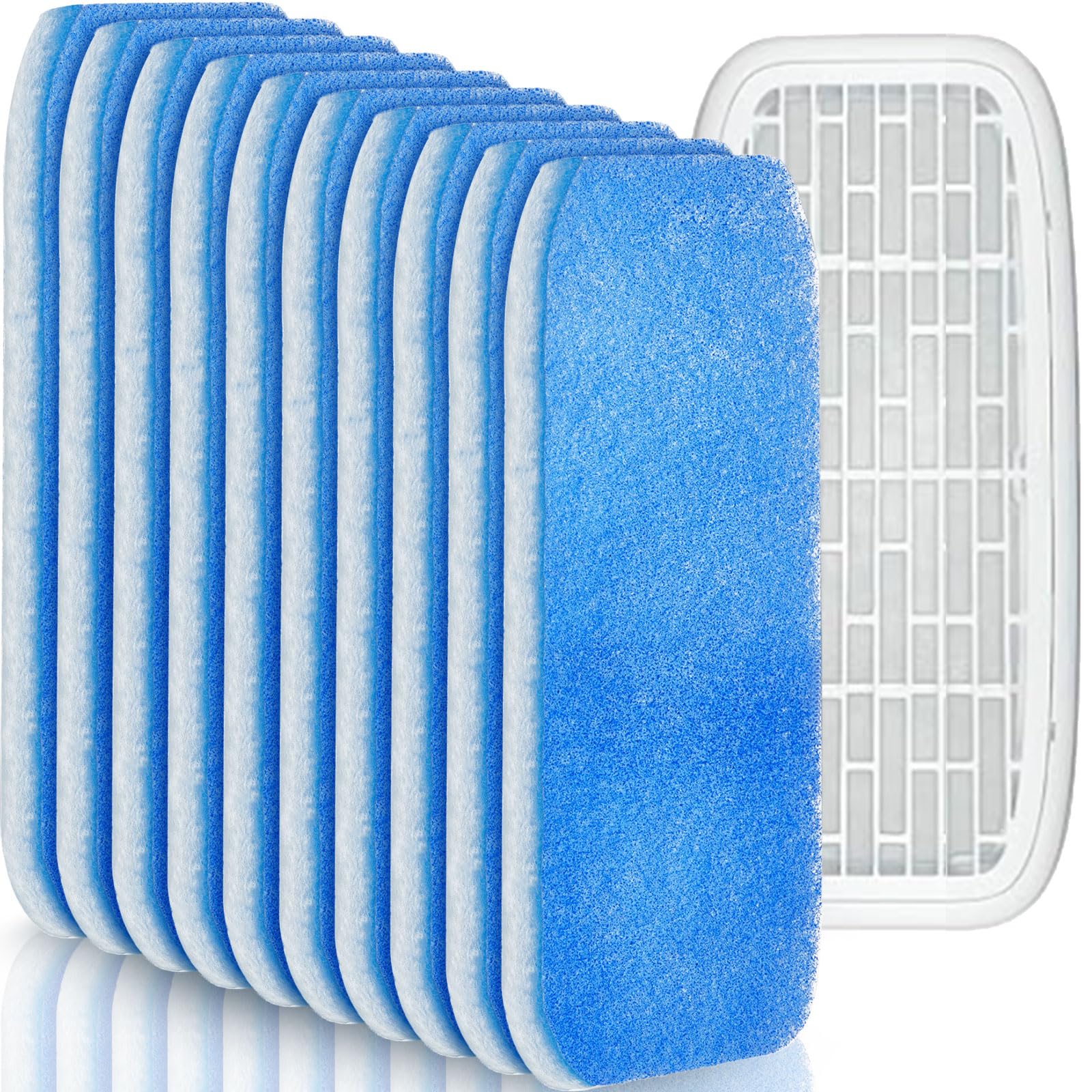 Ziliny 10-Pack