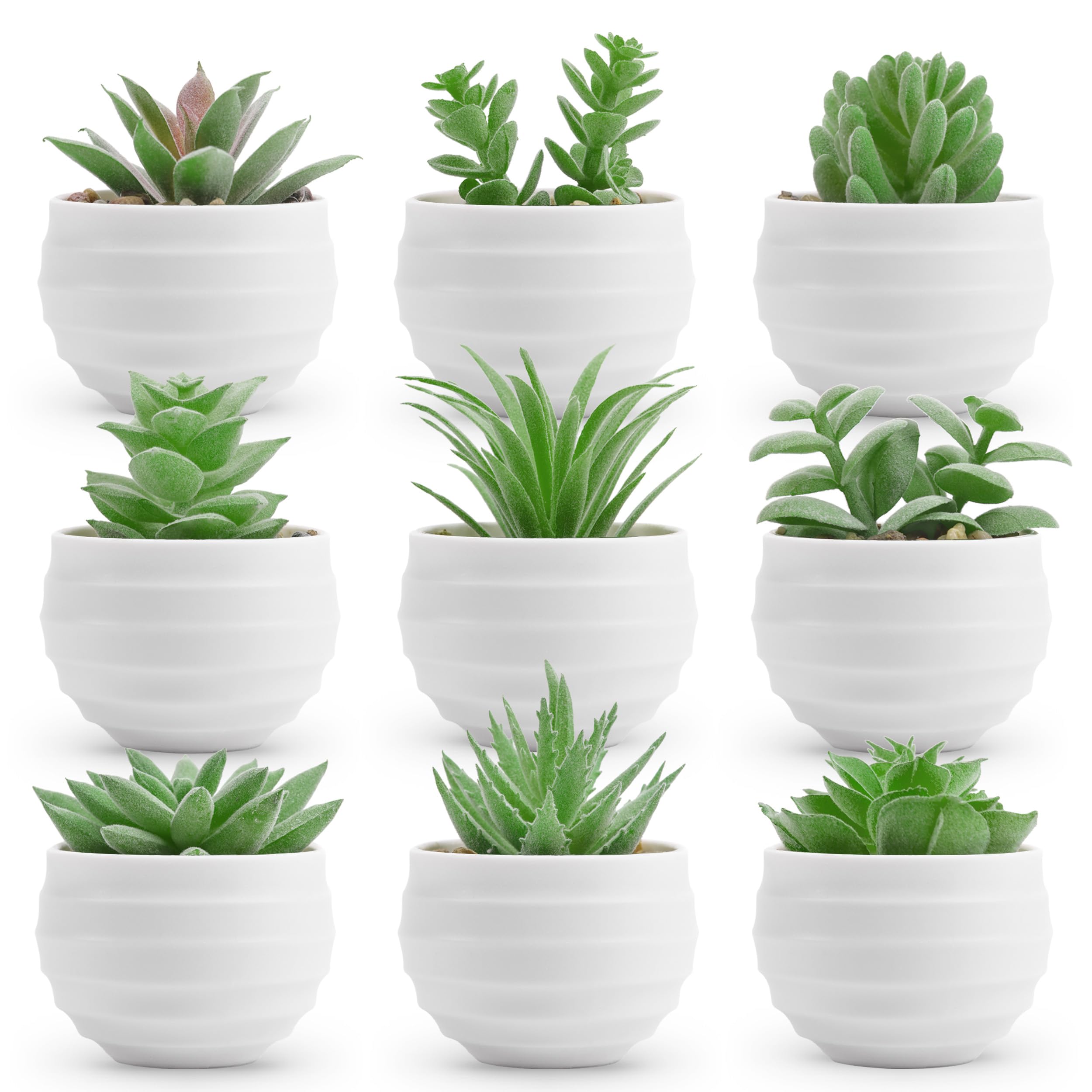Photo 1 of Der Rose 9 Pack Small Fake Plants