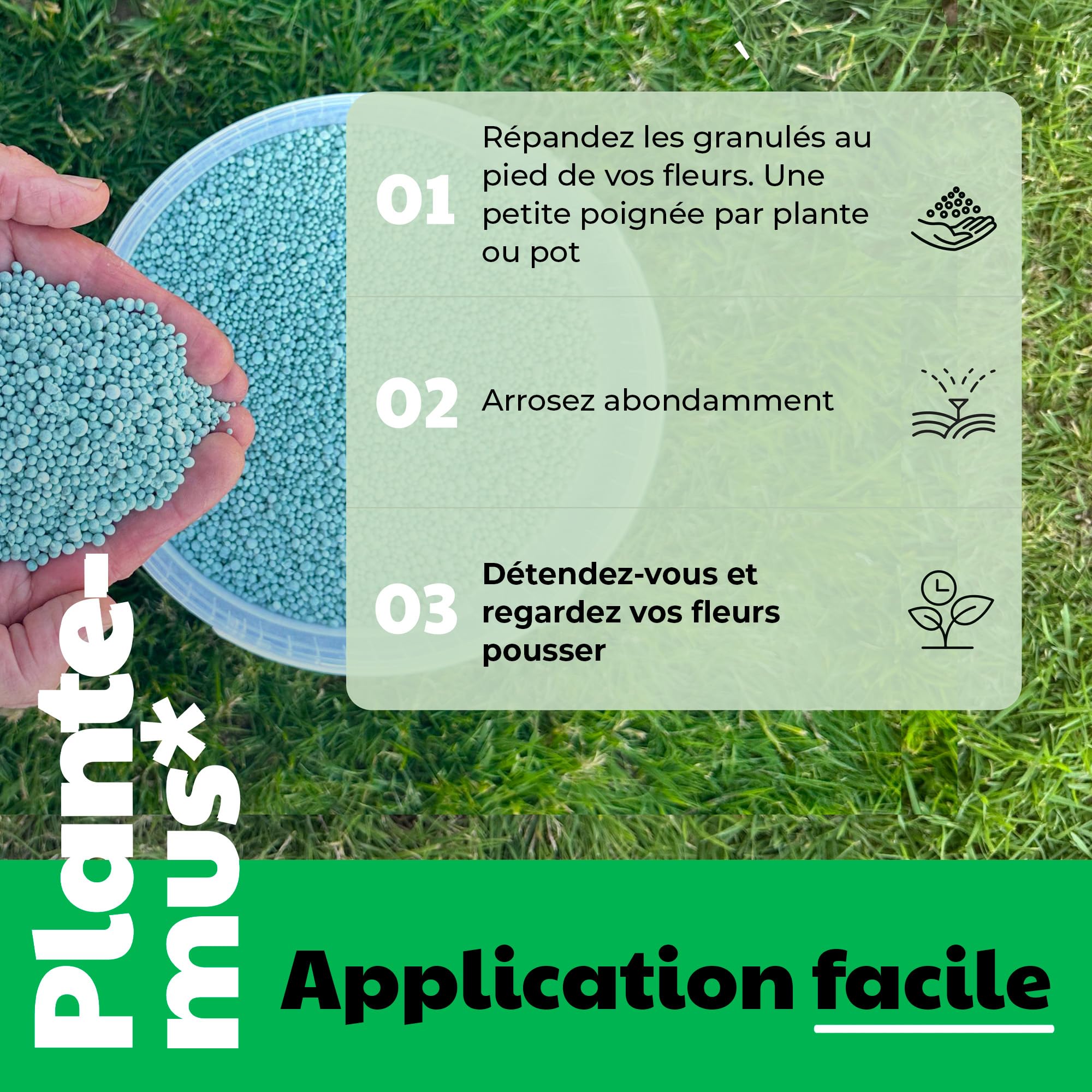 PLANTEMUS Engrais pour Rosiers et Fleurs, idéal pour les Orchidées, Hortensias et tout type de Plantes à Fleurs, Granulé, 1 KG