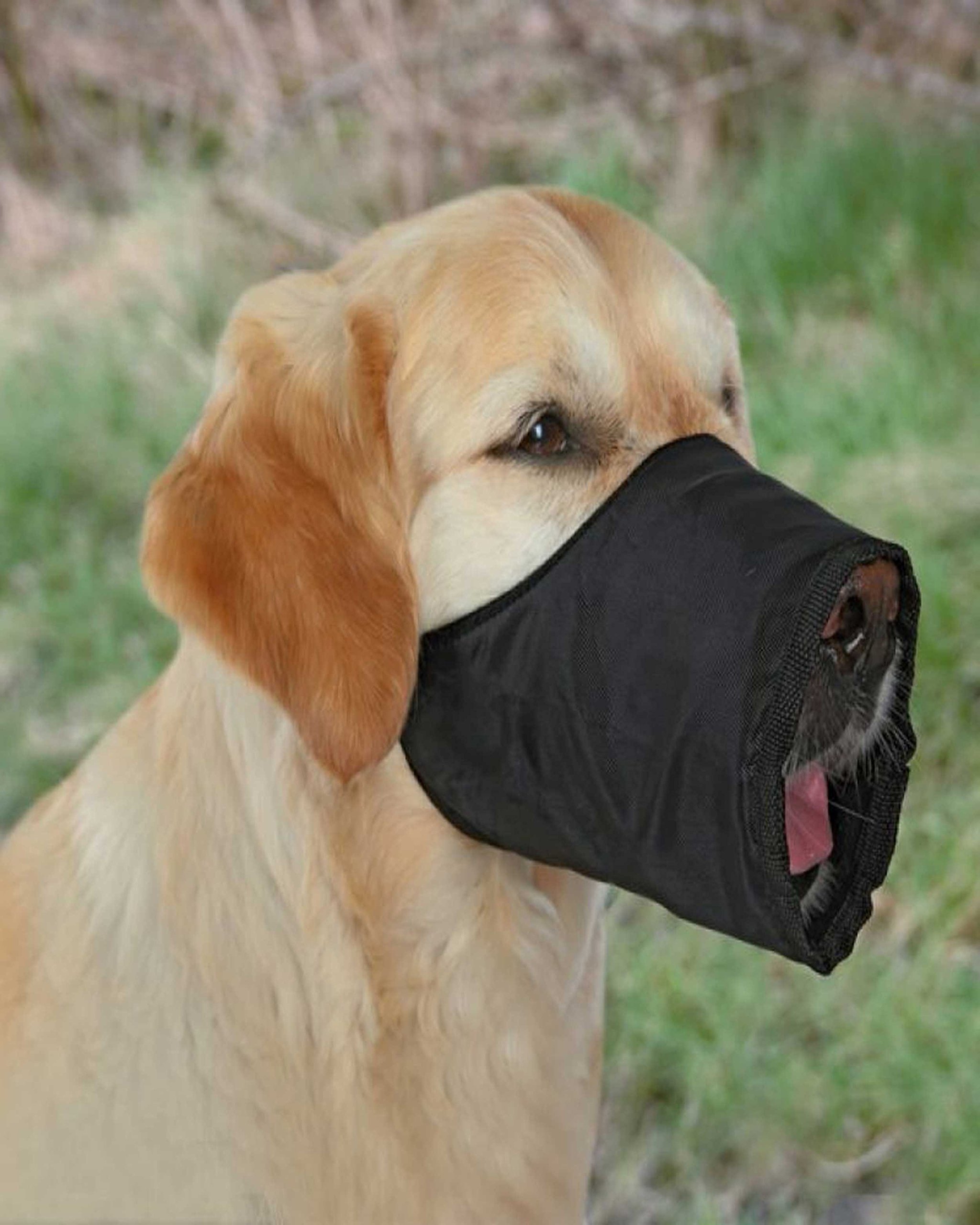 Trixie Nylon Muzzle- XL (B00YEFKQFG) Amazon Price History, Amazon Price Tracker