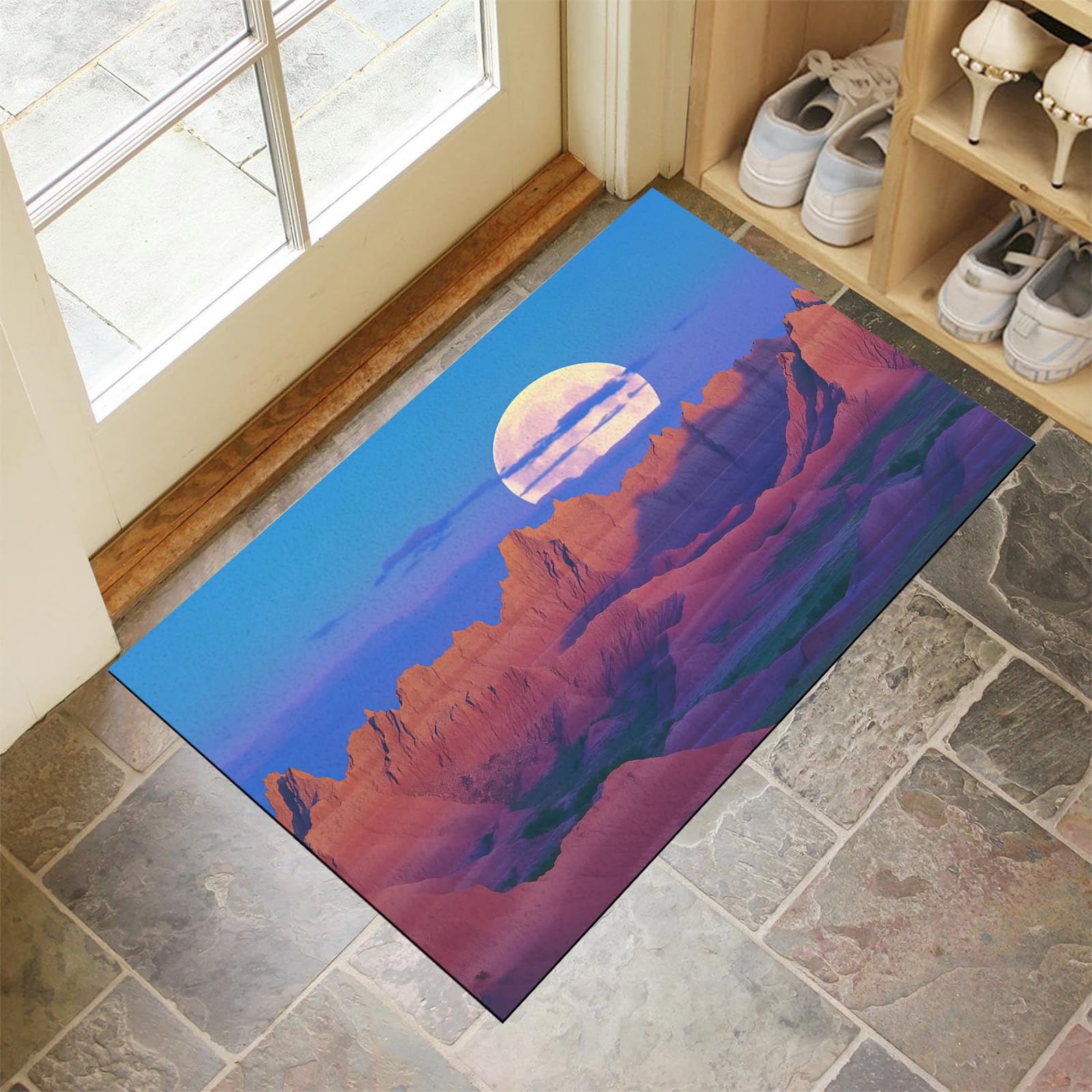 Paillasson extérieur antidérapant 60x90 cm grand tapis d'entrée lavable