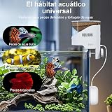 Ver la foto 3