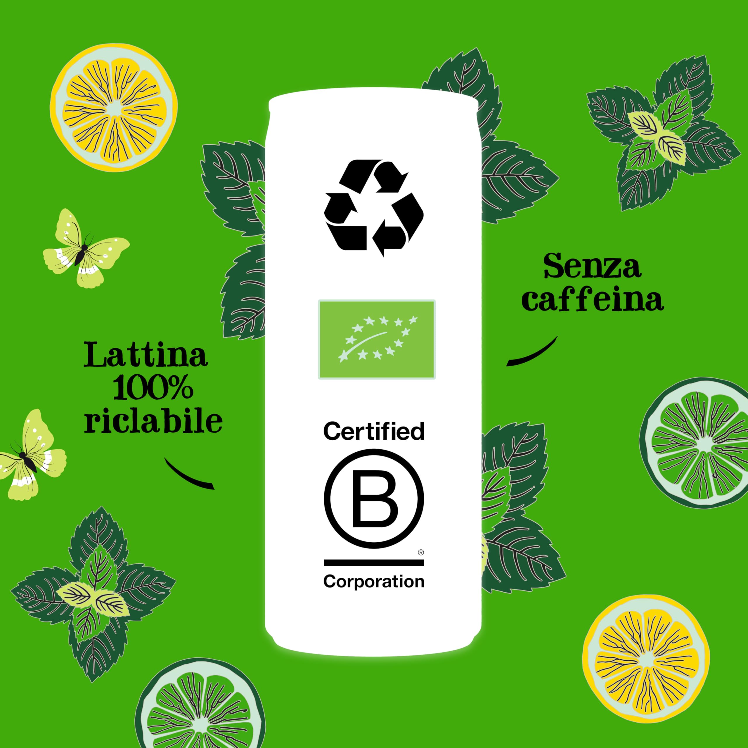 CUPPER Bibita al Lime, Menta e Limone Bio, Bevanda Biologica non gassata, Senza Zuccheri Aggiunti, Infuso a Freddo con Succo di Frutta, Confezione 12 x 250ml