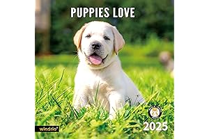 2024 Paws-itive Vibes Dog Calendar