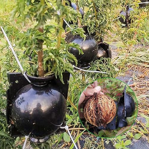 Miniatura 6 de Tanzfrosch Paquete de 10 cajas de cultivo de raíces de árbol, herramientas de injerto de bolas de enraizamiento, reutilizables, kit de propagación