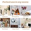 Product Photo 6