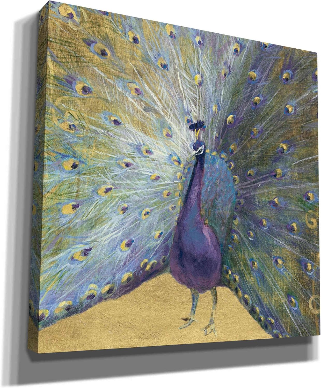 Epic Graffiti 'Purple And Gold Peacock' by Danhui Nai, Canvas Wall Art, 12"x12"