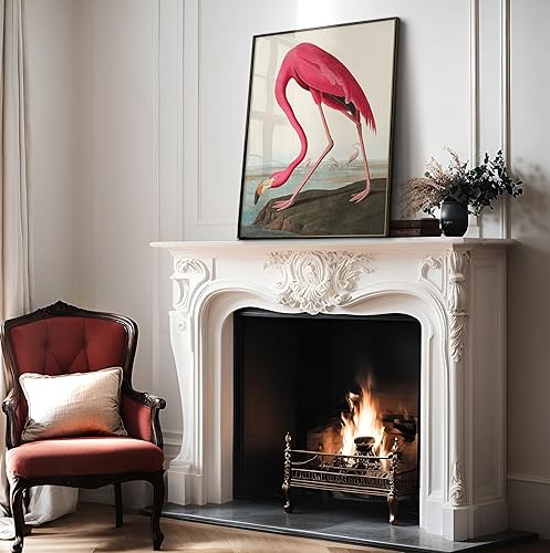 Miniatura 4 de Poster Master Póster vintage de flamenco americano, estampado retro de flamenco rosa, arte de pájaro, regalo para él, ella, amante de los animales,