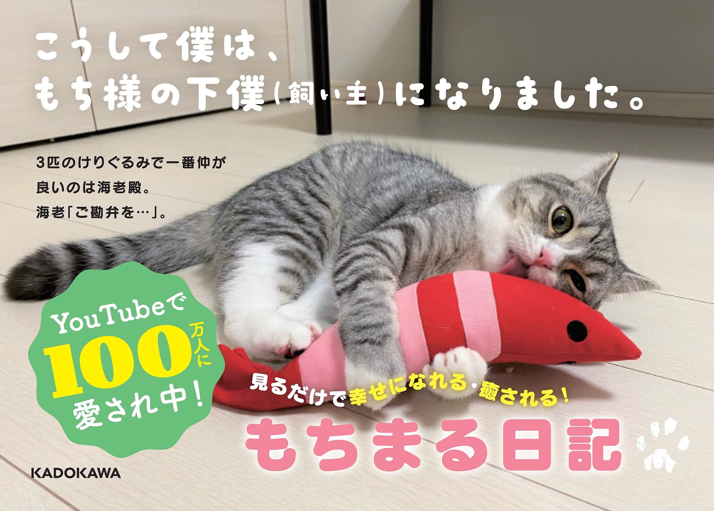 もちまる日記 下僕 本 通販 Amazon もちまる日記 下僕 本 通販 Amazon