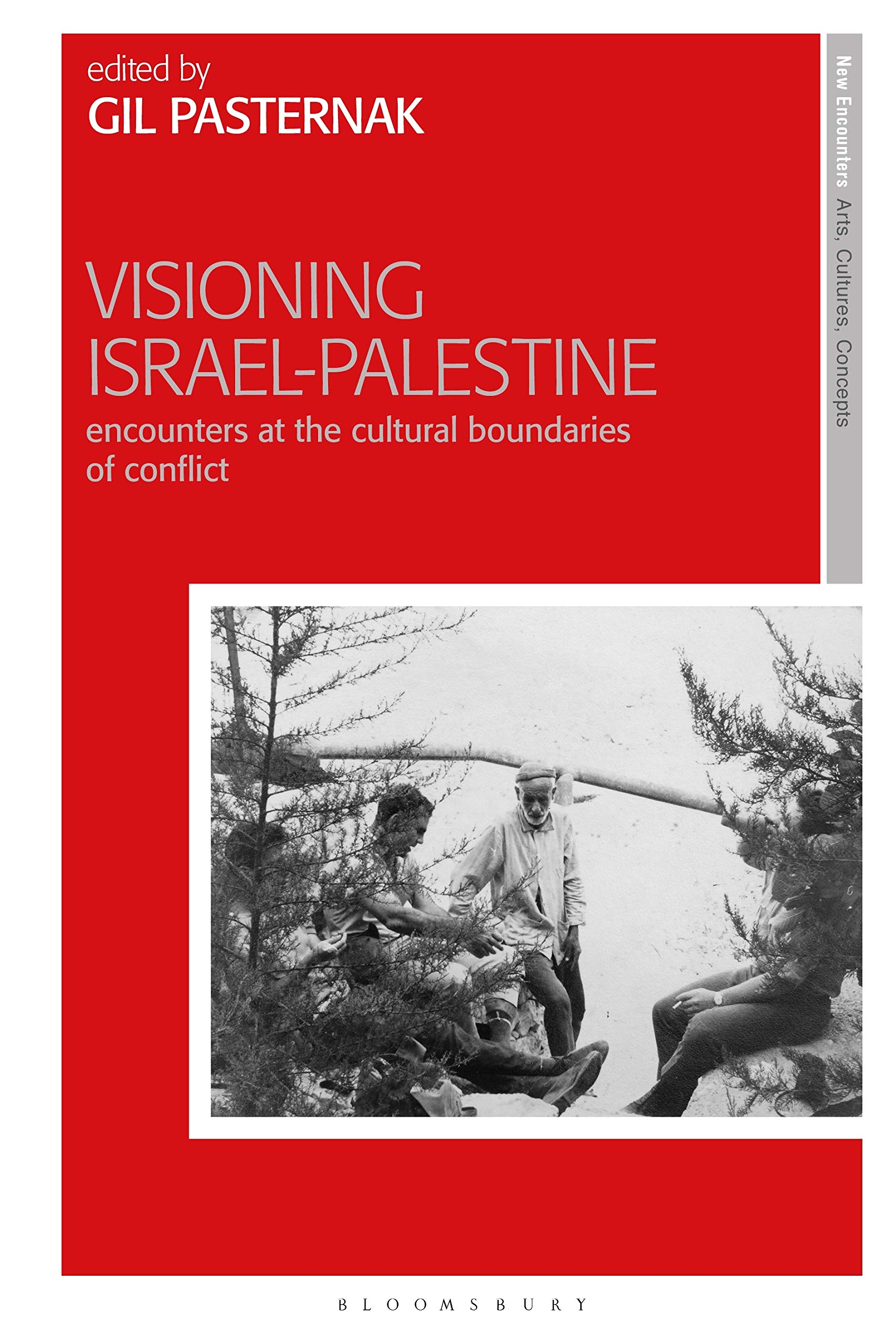 Buy Visioning Israel-Palestine: Encounters at the Cultural Boundaries of Conflict (New Encounters: Arts, Cultures, Concepts) — BookShops.in