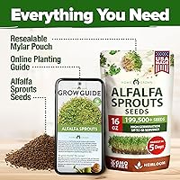 Vista 7 de HOME GROWN Semillas de brote de alfalfa sin OMG, 16 oz (453.6 g) Paquete a granel con miles de semillas de alfalfa para brotes y microgreens