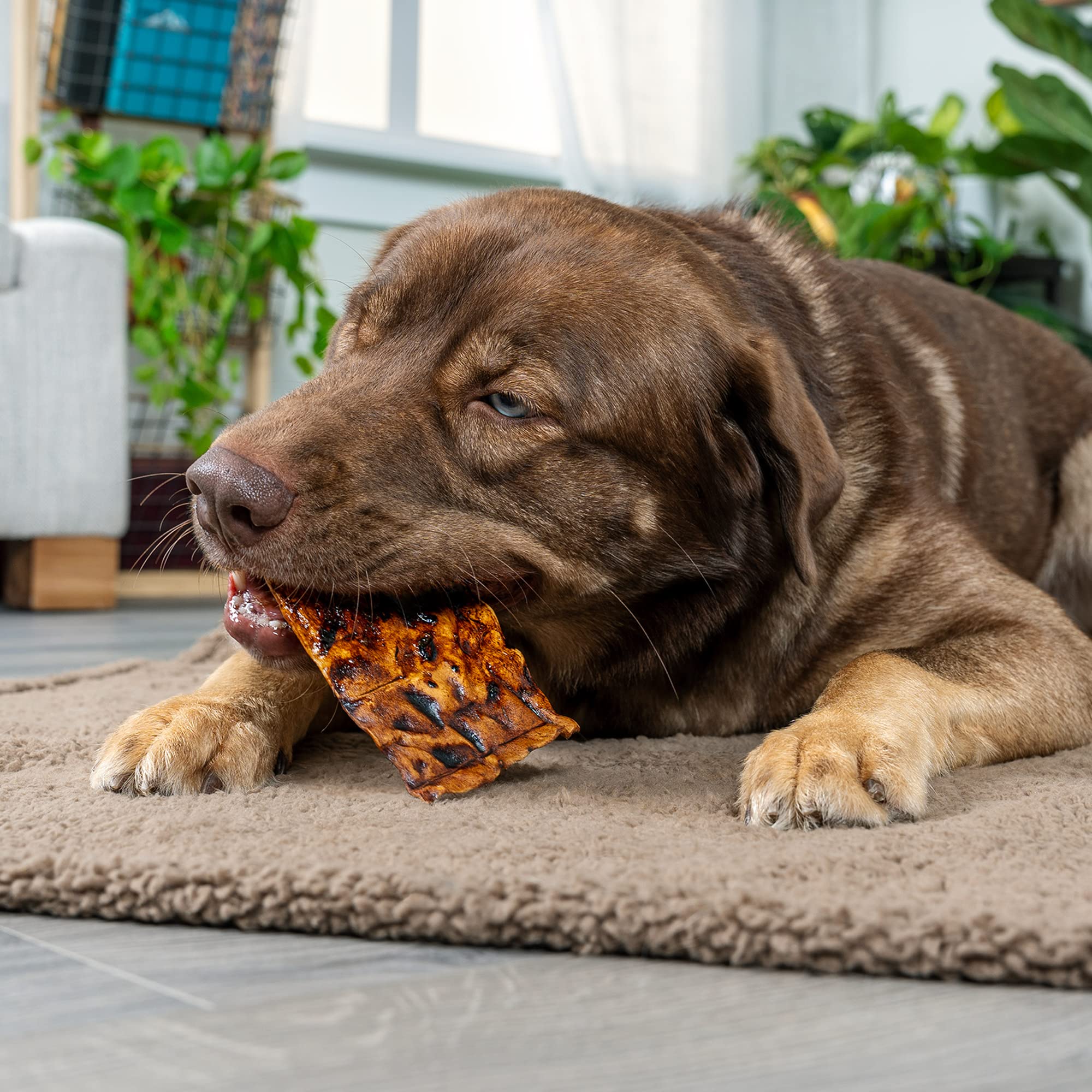 Pet Factory American Beefhide Chips - Golosinas masticables para Perros, Sabor a Carne, 32 onzas