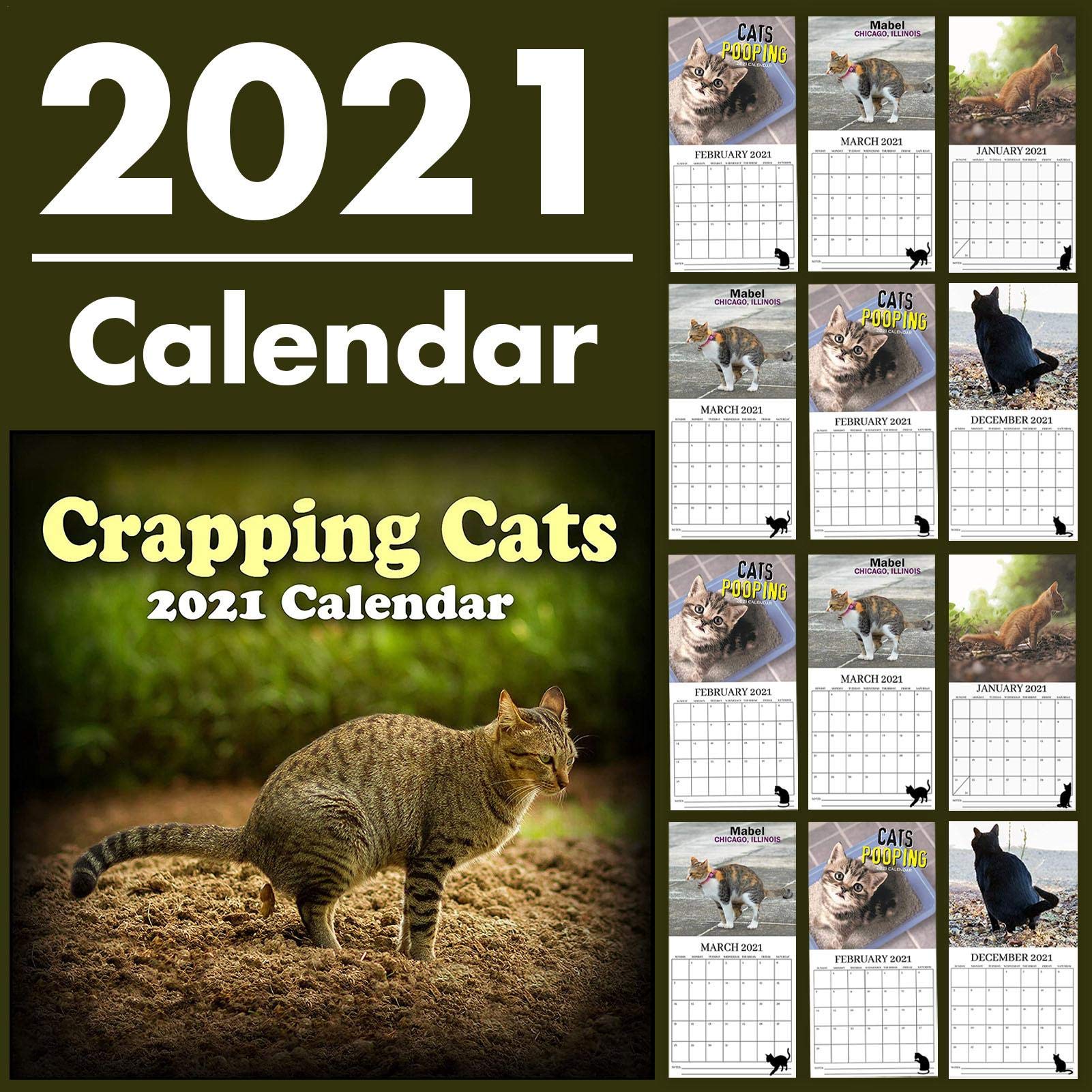 Buy Phrat 2021 Wall , Monthly with Cat Dog Thick Paper, Wall for 2021