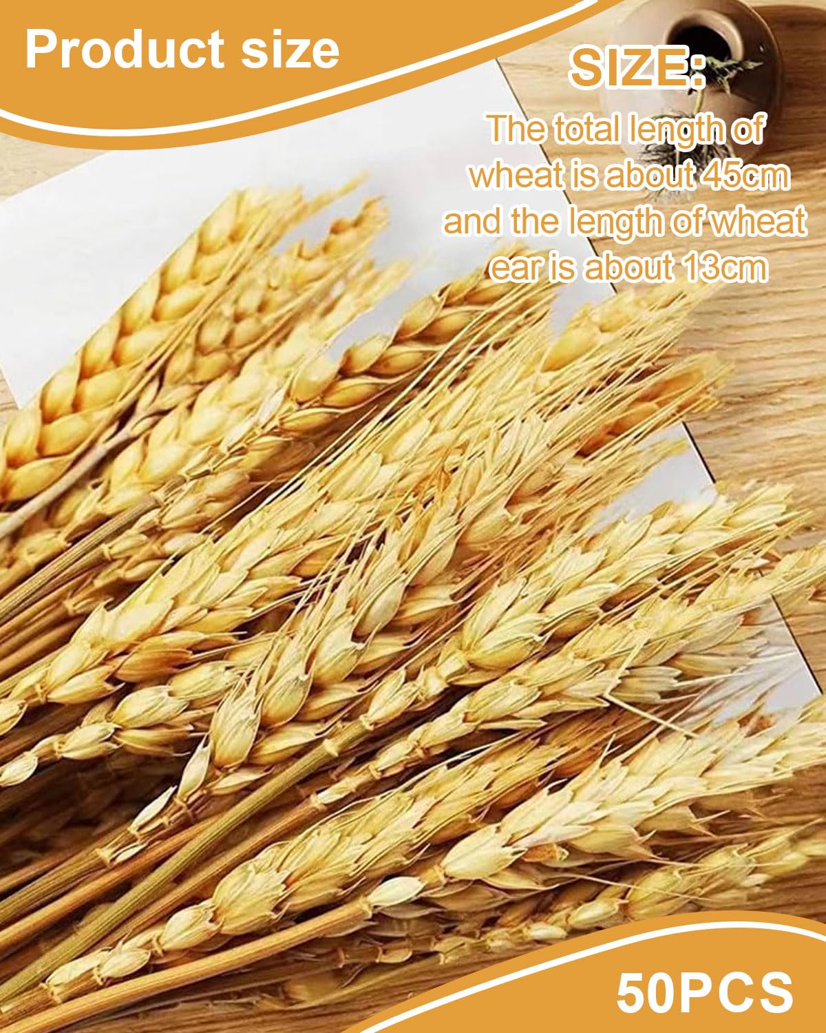 50 pezzi Decorazioni naturali di erba di grano, erba di grano nativa, fiori di erba di grano essiccati, bouquet da sposa, decorazioni per la casa con fiori bohémien