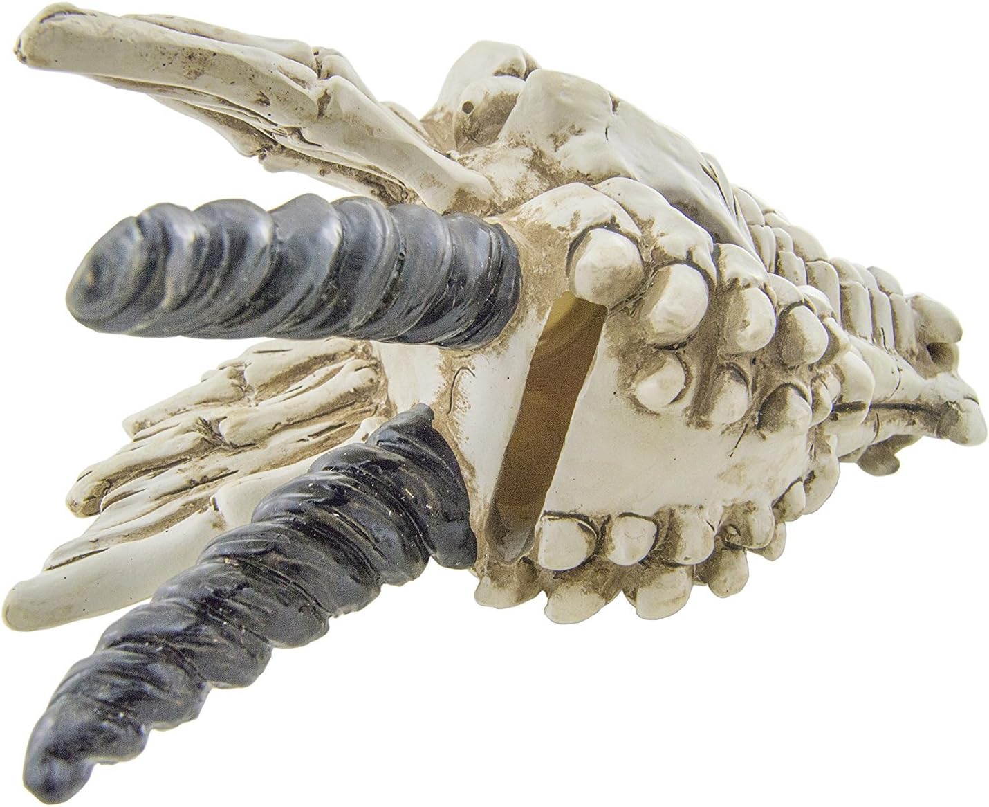 Snarling Magical Dragon Skull Treasure Trinket Box