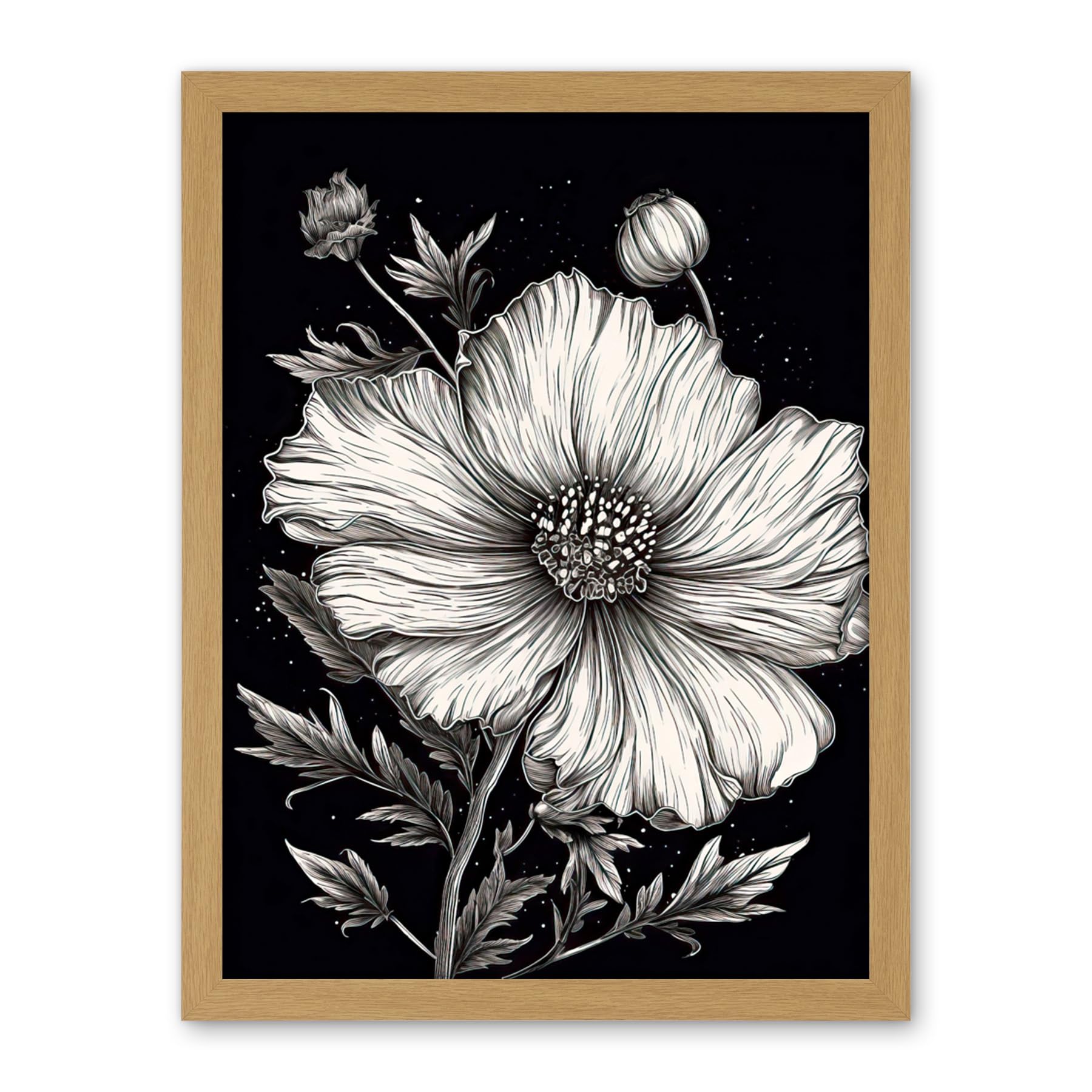 Artery8 Black and White Cosmos Flower and Starry Night Sky Artwork Framed Wall Art Print 18X24 Inch