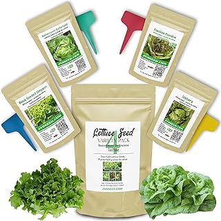 Lettuce Seed Variety Pack(9600 Seeds) Eack Pack Has 2,400 Seeds of Freckles Romaine, Iceberg, Buttercrunch, and Black Seeded Simpson - Grow Fresh and Crisp Lettuce from Seed