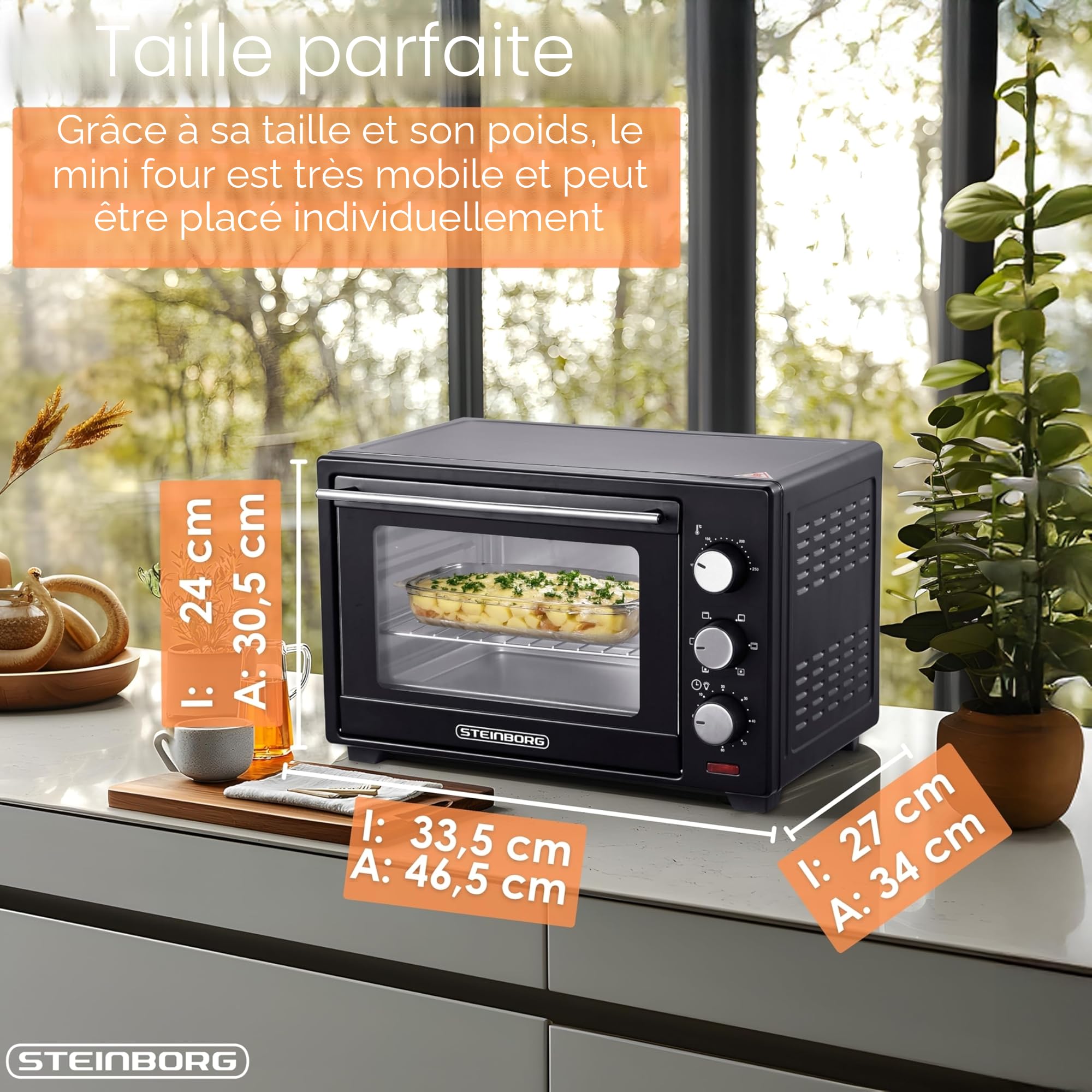 STEInBORG Mini Four 25 Litres | Four à Pizza 3 en 1 | Plaque Ramasse-Miettes | Chaleur de Voûte et de Sole | Convection | Minuterie 60 Min | 1600 W
