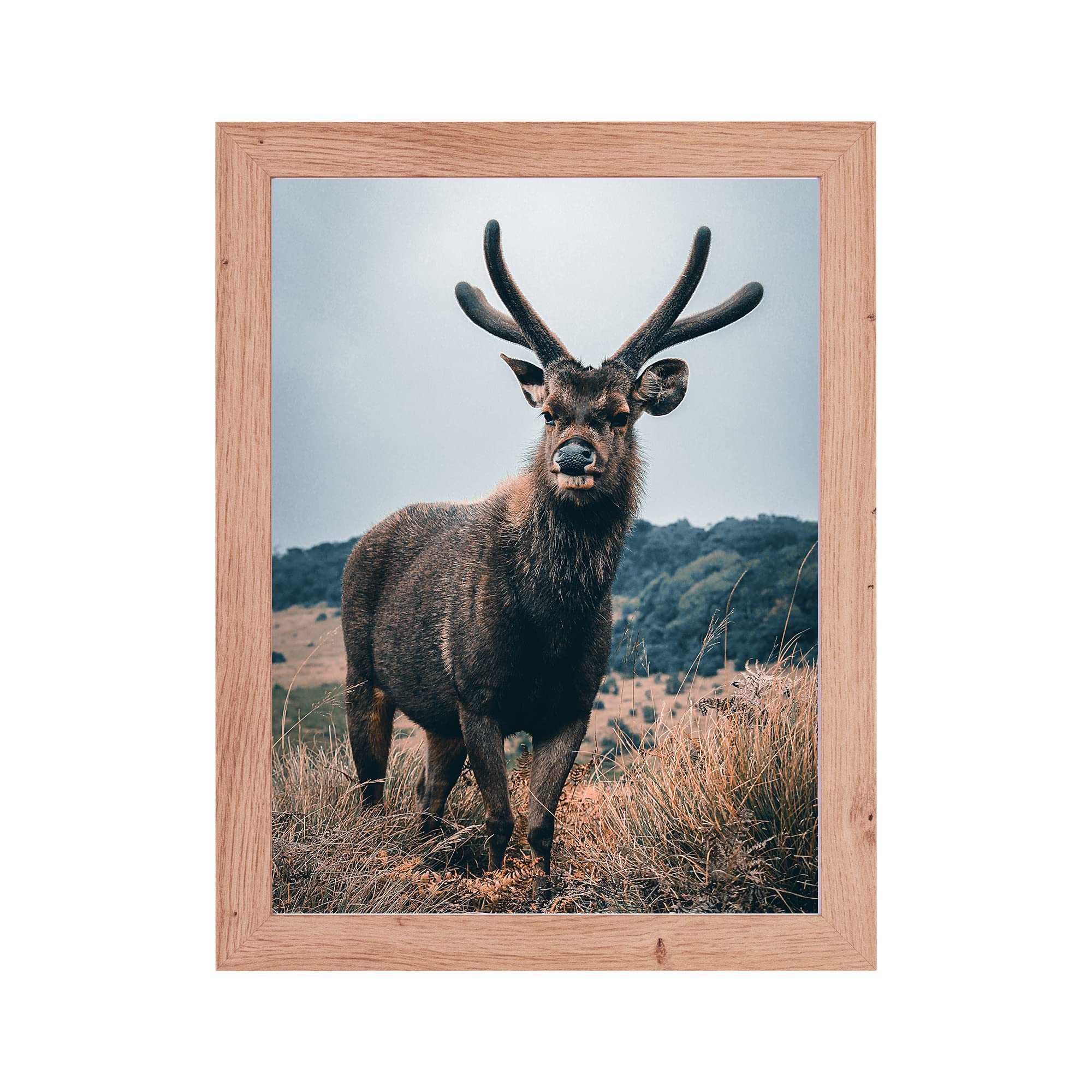 Cadre photo Milan 70 x 100 cm, en chêne naturel, cadre interchangeable, cadre puzzle
