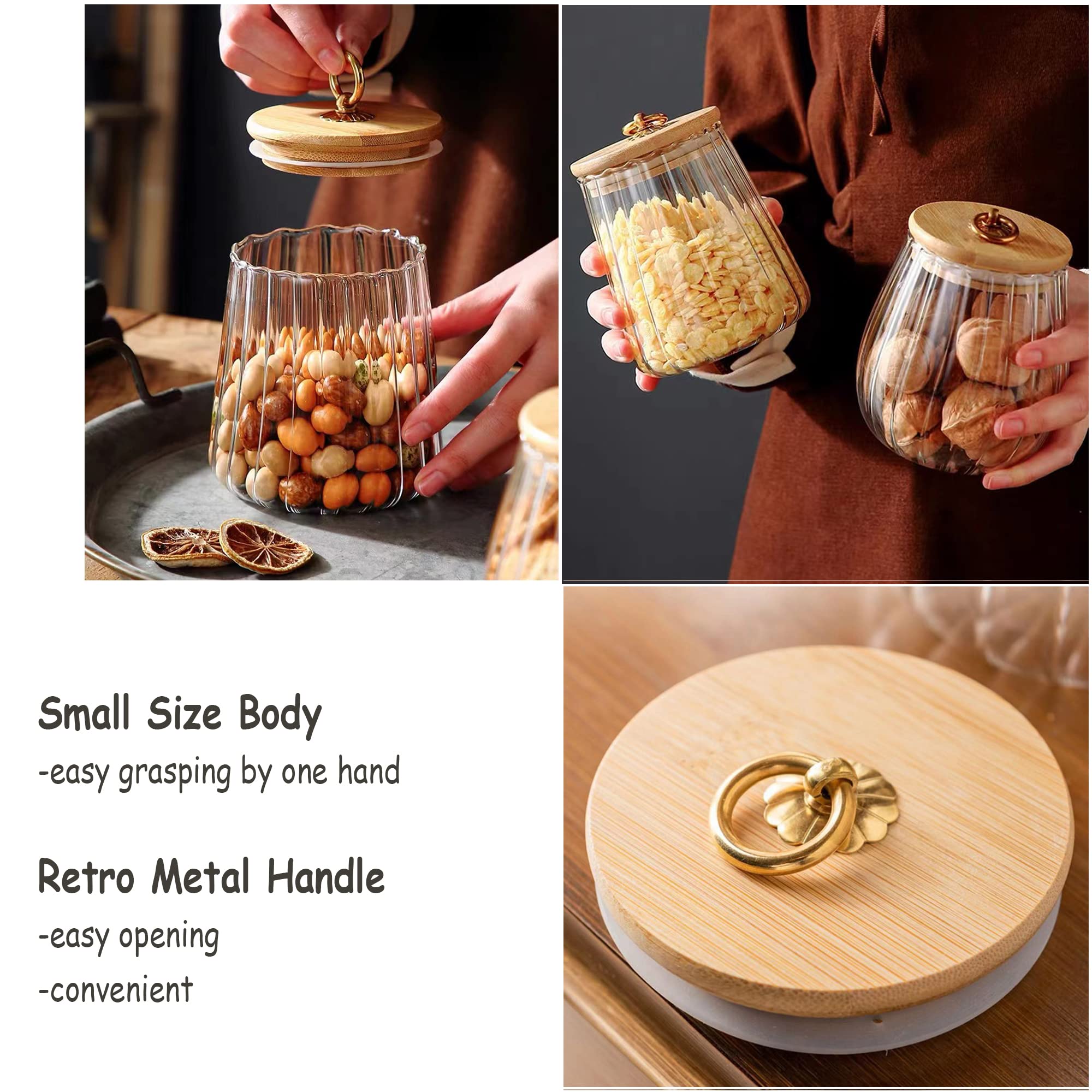 FANTESTICRYAN Tarro de cristal para frutos secos de café, hermético, contenedor decorativo de pétalos con tapa de bambú, mango de metal, fácil de agarrar (ovalado pequeño)