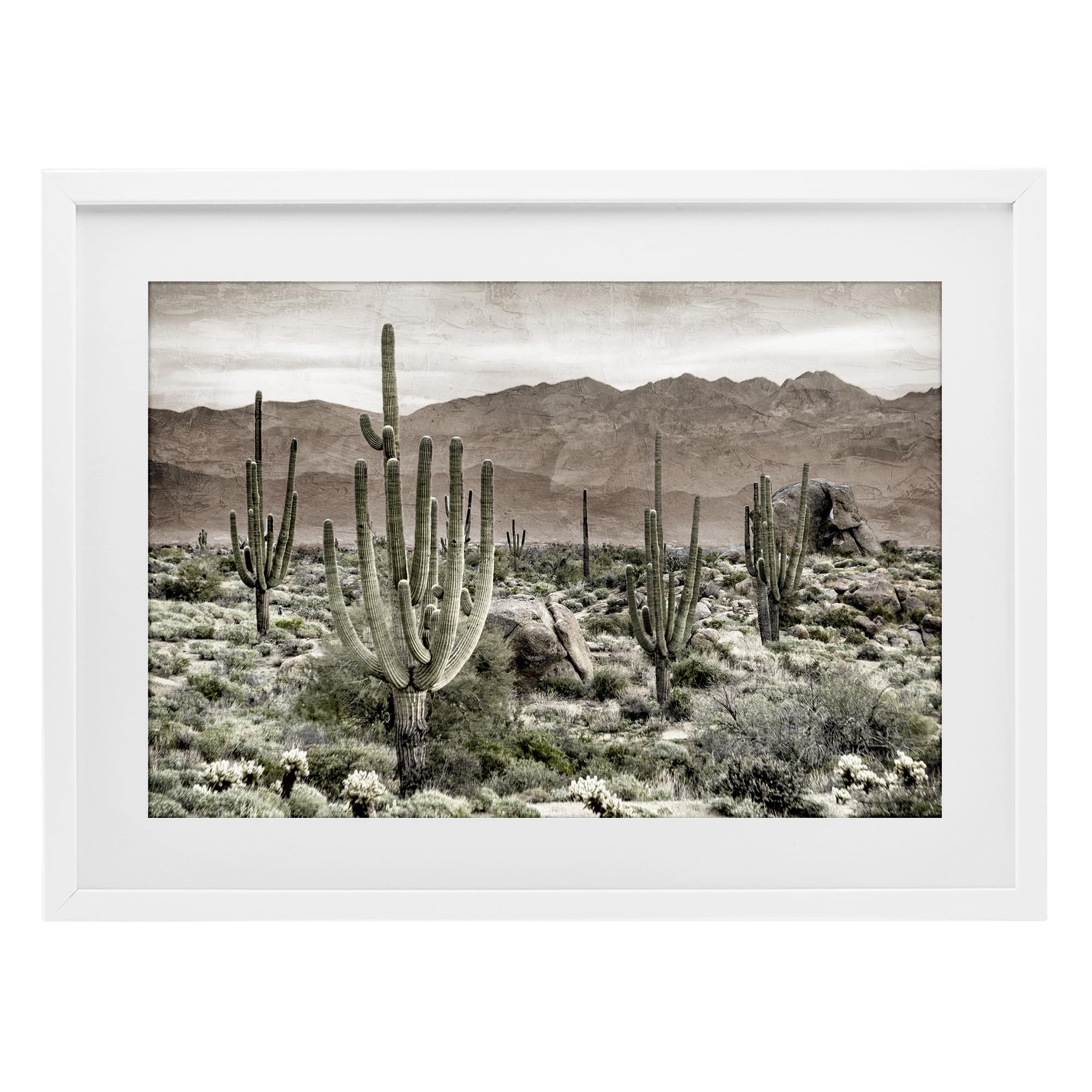 Stupell Industries Coastal White (Textured) Desert Cacti Wilderness Landscape, 14 X 20 Inch Framed Print Under Glass