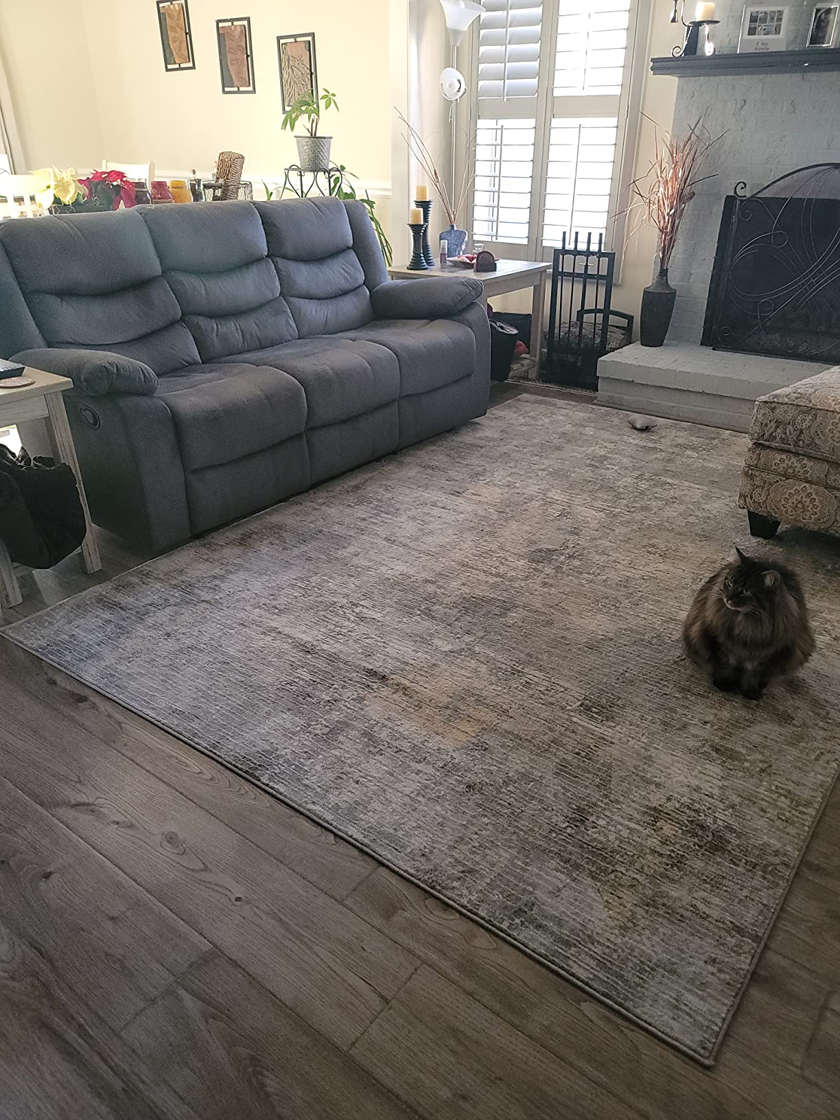 5/mo Finance Home Dynamix Melrose Lorenzo Area Rug, 2x3, Gray/Blue