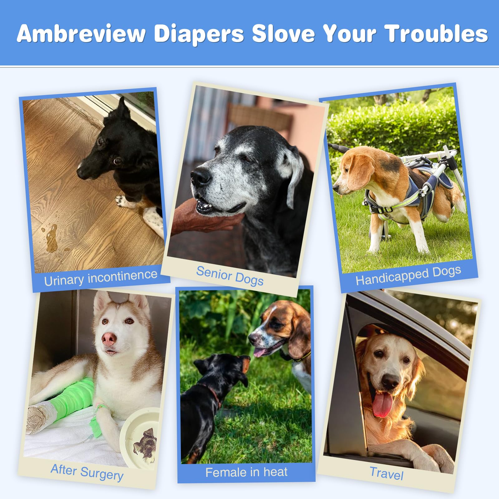 Ambreview Pañales para perras, pañales desechables para perras, ultra absorbentes y antifugas laterales, pañales elásticos para perros en celo/ancianos/discapacitados (XS, 30 unidades)
