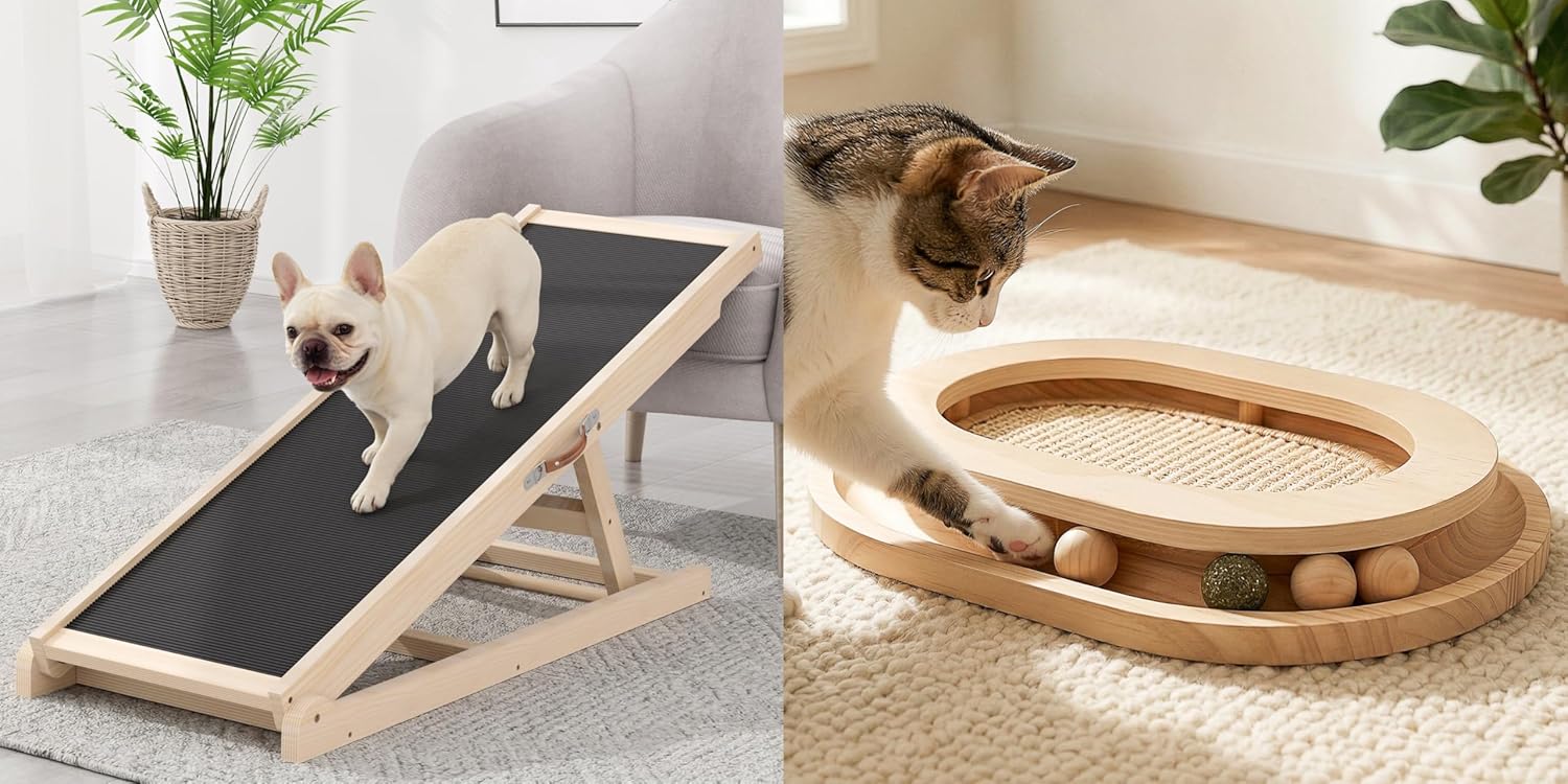 Dog Ramp & Cat Scratcher Toy