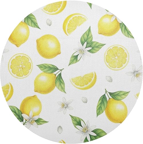 Watercolor Lemons Placemats Set, Non Slip Heat Resistant Table Mats for Kitchen one sizex4