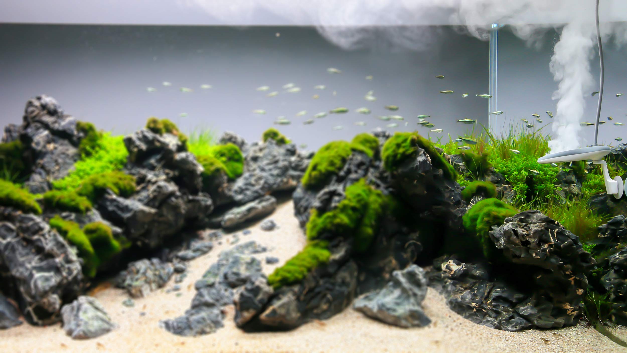 TWINSTAR 2 Nano+ Sterilisator für 50-430 Liter Aquarien