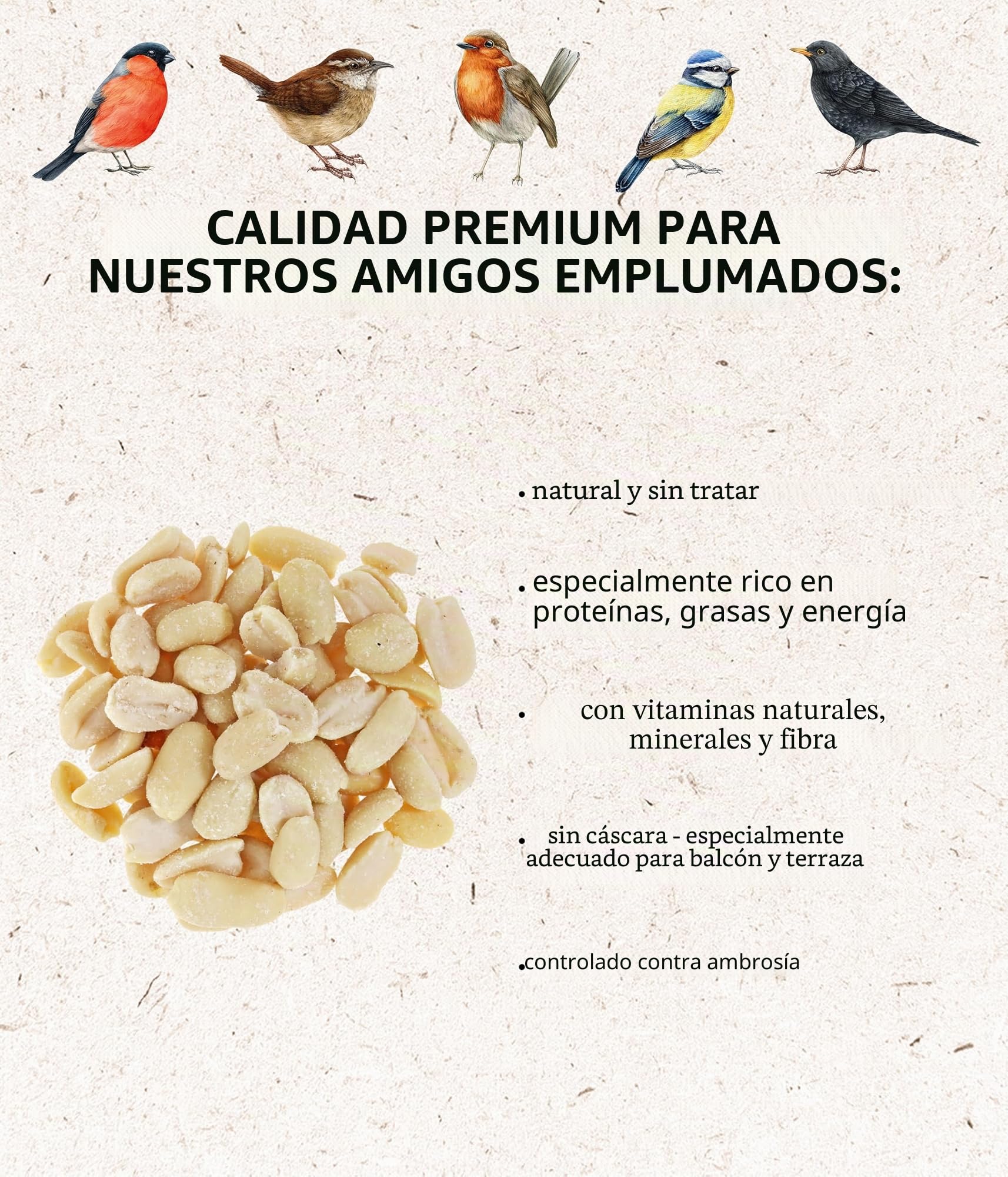 Dehner Natura Premium - Comida para Aves Silvestres (Cacahuetes Enteros, sin cáscara, para Todo el año, Rico en proteínas, Alta energía, 5 kg)