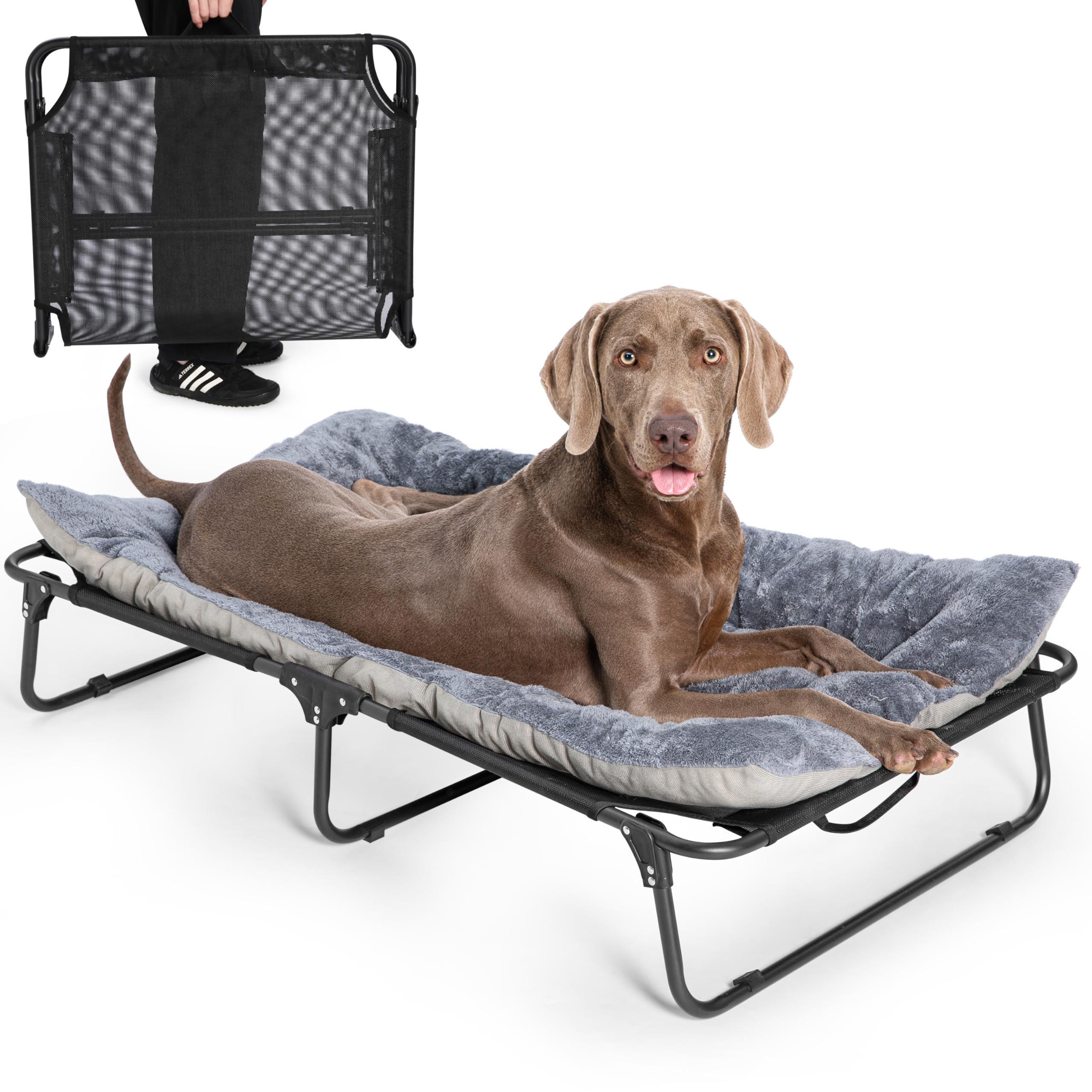Photo 1 of Clynatava 2-in-1 Elevated Dog Bed - Large, 47 Inch
