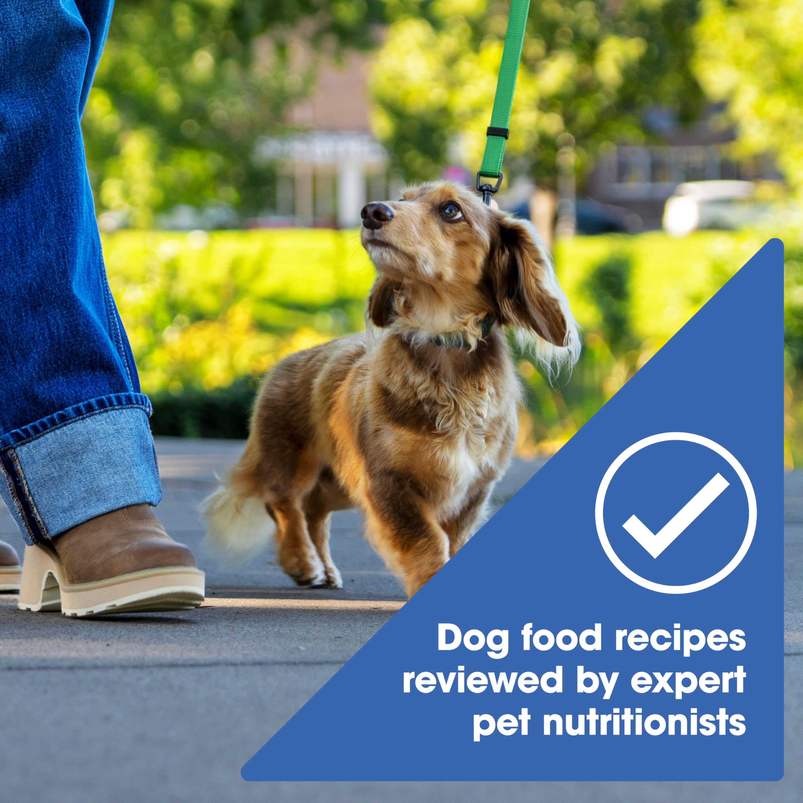 Nature's Recipe Grain Free Small Breed Easy to Digest Real Chicken Dog Food 4lbs