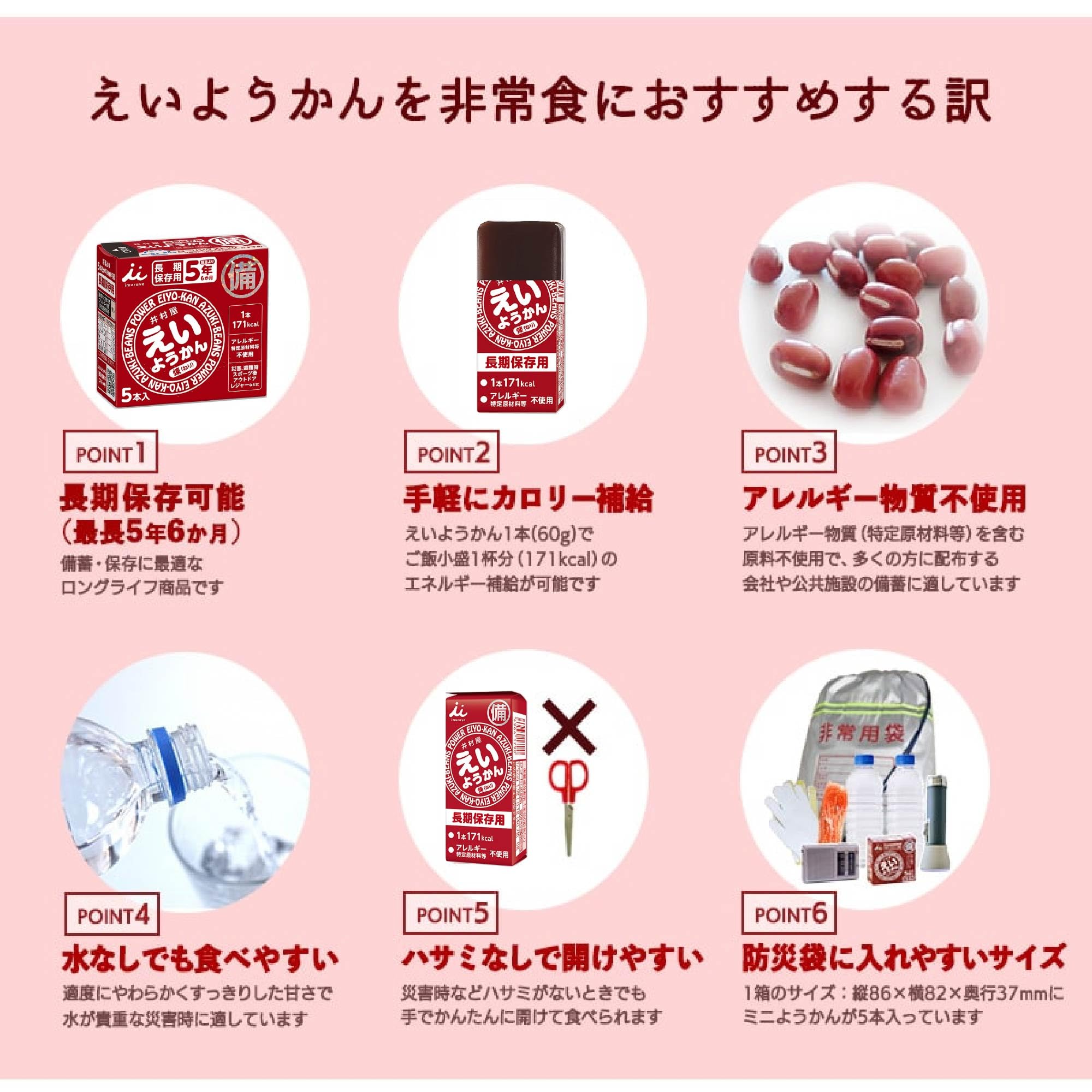 Amazon.co.jp: 井村屋 えいようかん 10本セット 非常食 5年 長期 保存