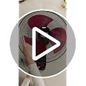 Image of Orient Electric Wall 97 | High Speed Wall Fan for Home | 100% Copper Motor | 90 Degree Oscillation with Tilt Mechanism | 3 Speed Pull Cord | Thermal Overload Protection | Military Grade Guard | Red