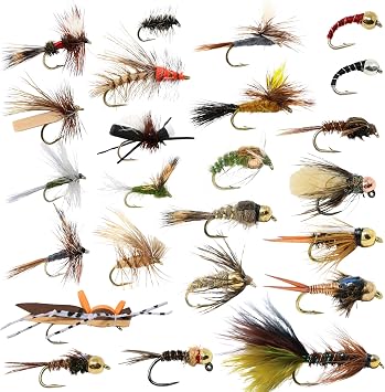 24 Fly Fishing Flies Assortment for Trout | 2 Dozen Fly Fishing Flies Kit | Dry Flies, Nymph, Wet, Streamers, Wooly Bugger Flies | Trout Lure Set Kit