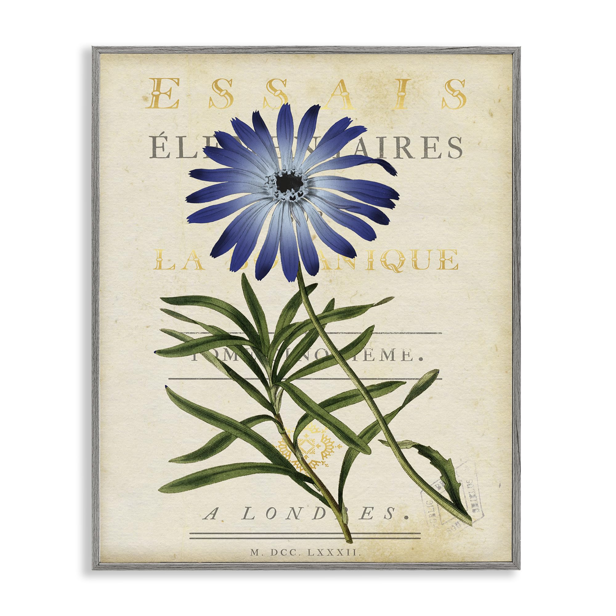 Stupell Industries Farmhouse Gray (Textured) 'Natural Botany Daisy'| Framed Giclee Art