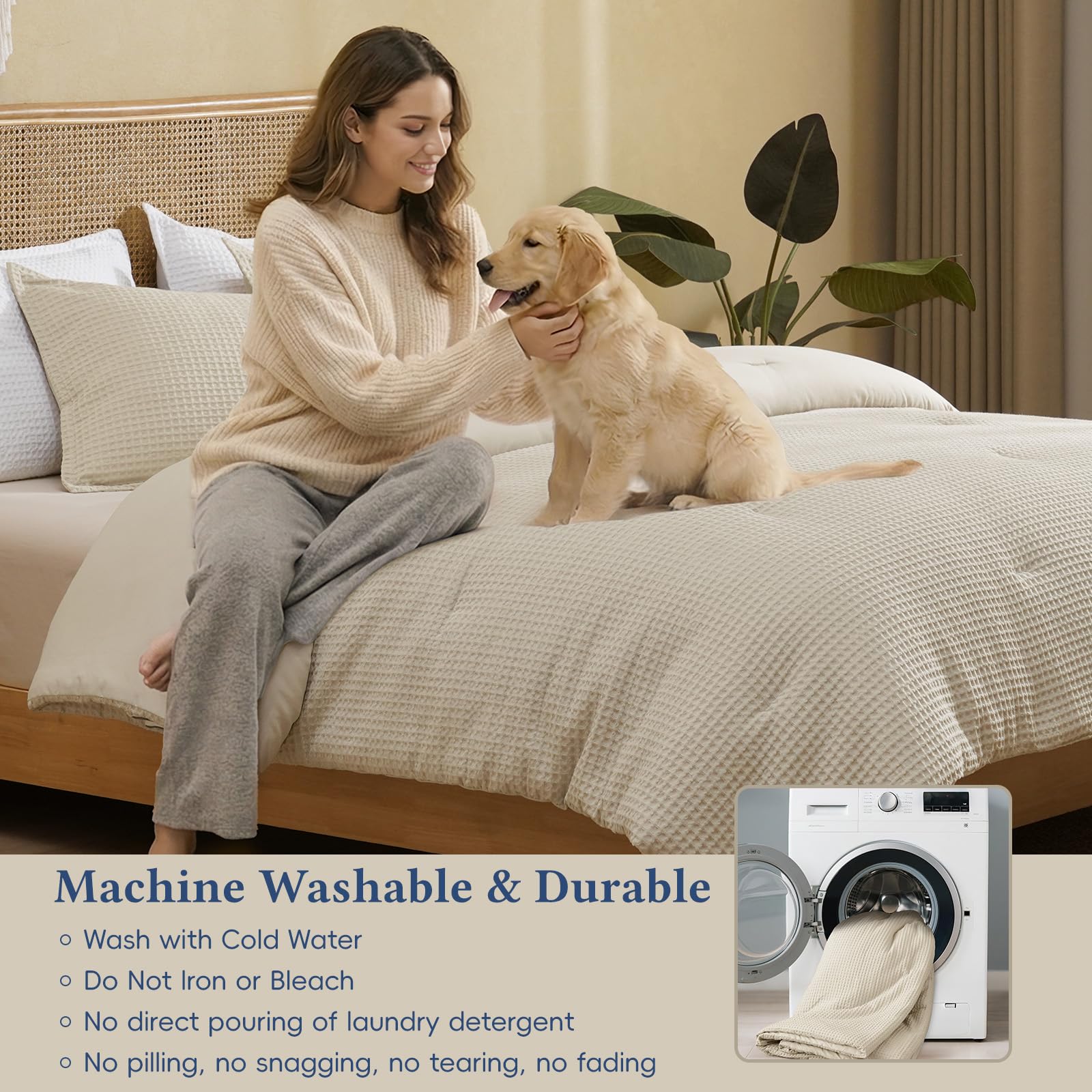 https://m.media-amazon.com/images/I/81leNofcGsL.jpg