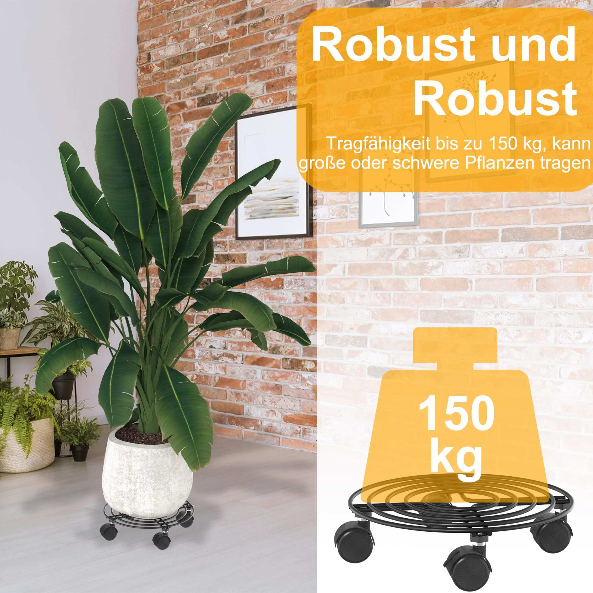YRHome 2 Stück Pflanzenroller Metall Blumenroller Schwarz für Außenbereich & Innenbereich Blumentopf Untersetzer mit Rollen Pflanzen Caddy mit Rädern Pflanze Roller Basis - Rund Ø30cm - Bis 150KG
