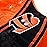 Cincinnati Bengals NFL High End Stocking