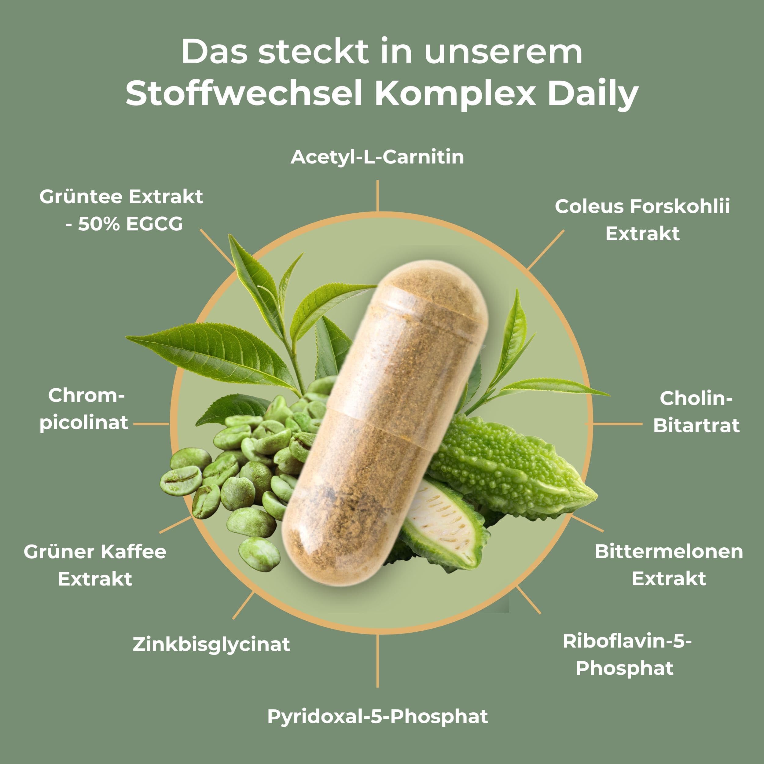 Stoffwechsel Komplex Daily – 270 Kapseln
