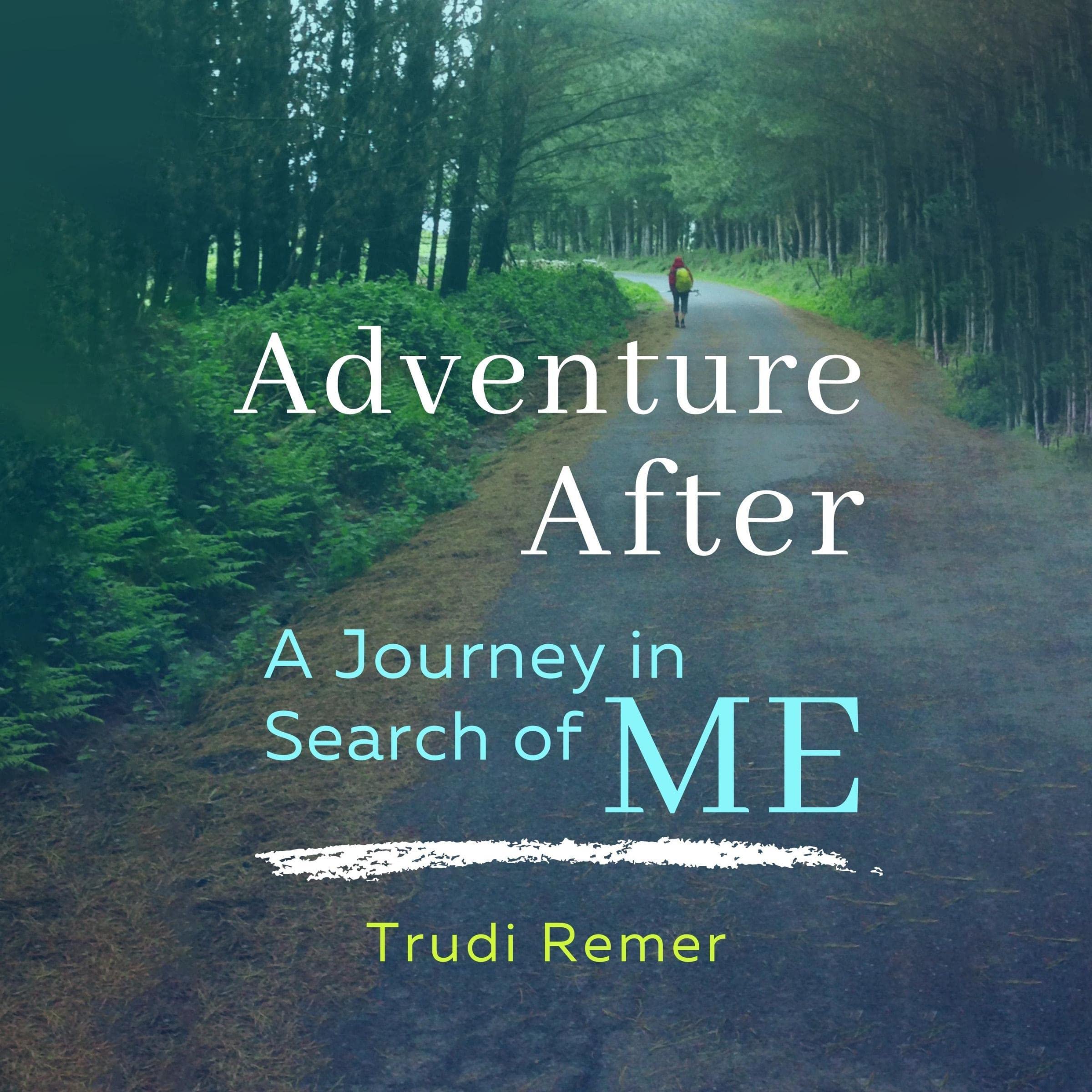 Cover art for Adventure After