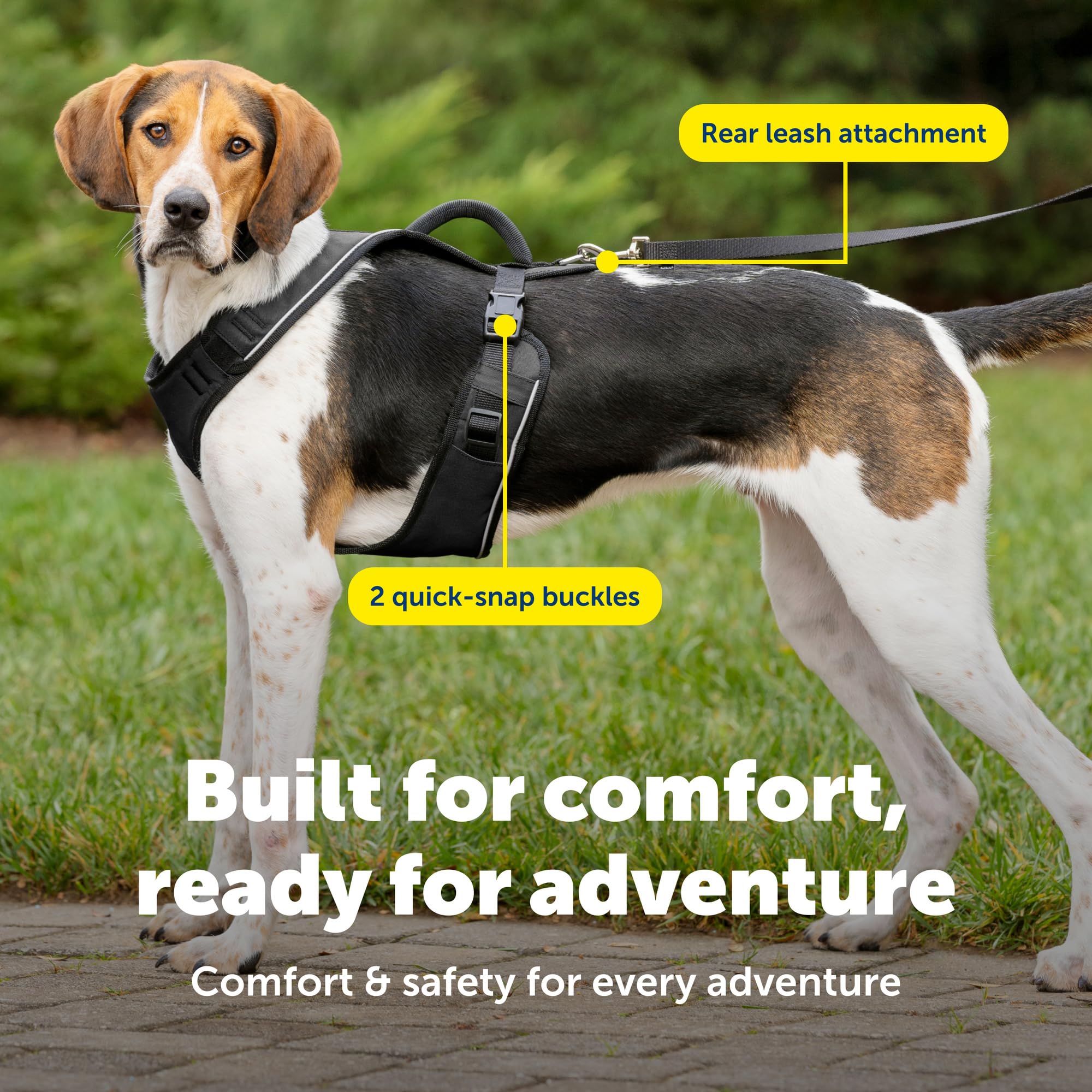 PetSafe EasySport, Pettorina per cani, pettorina regolabile imbottita con maniglia di controllo e bordino riflettente, L, nero