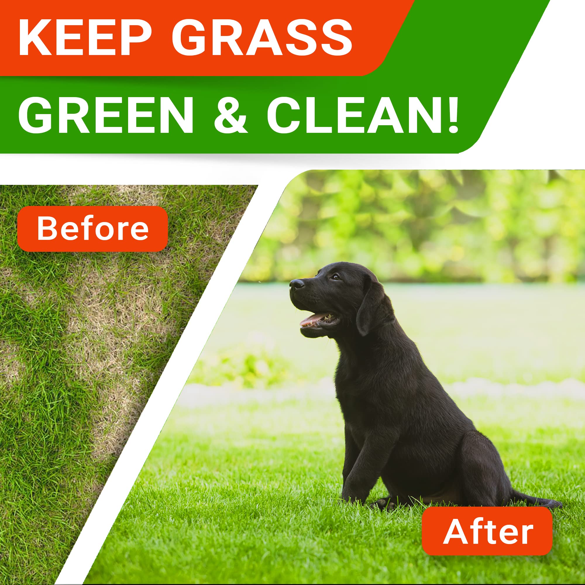 How To Keep My Grass Green With A Dog