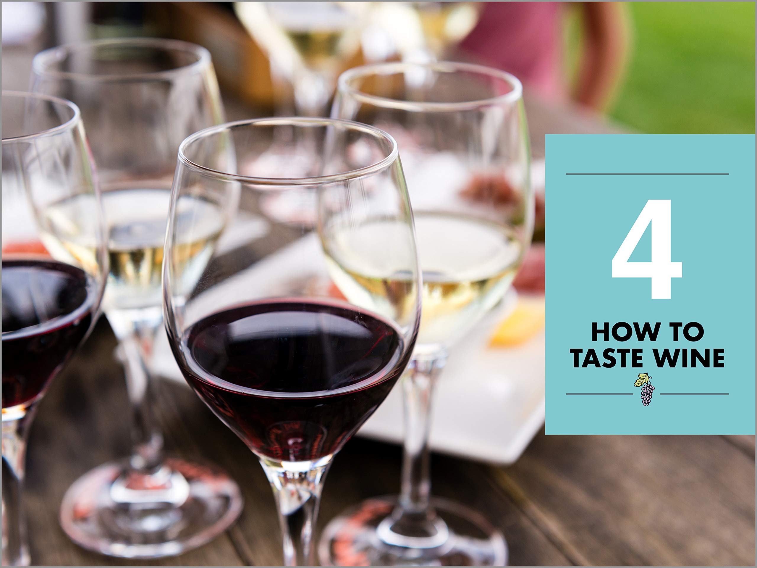 Wine: A Beginner's Guide